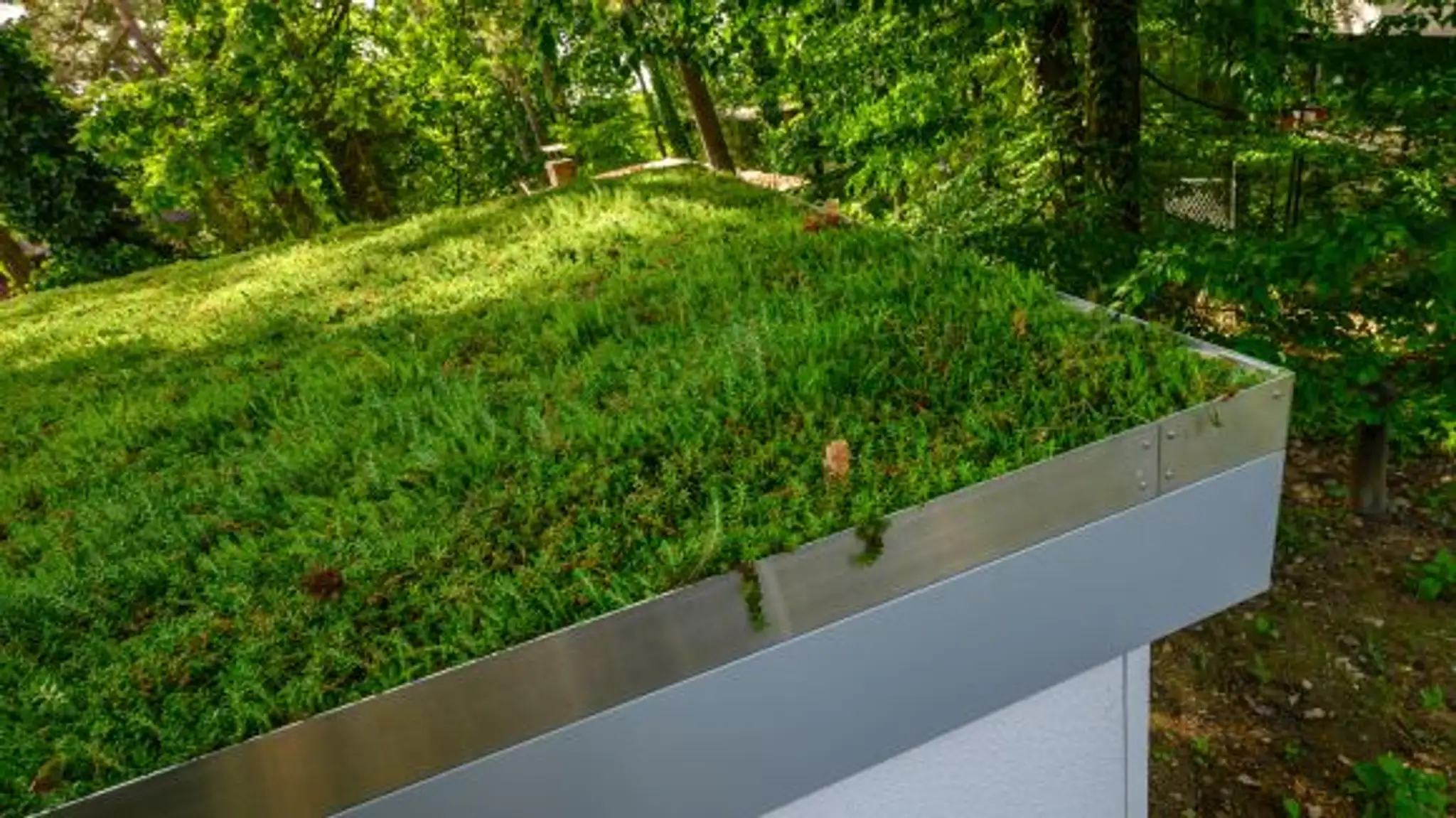 Ilustračná snímka