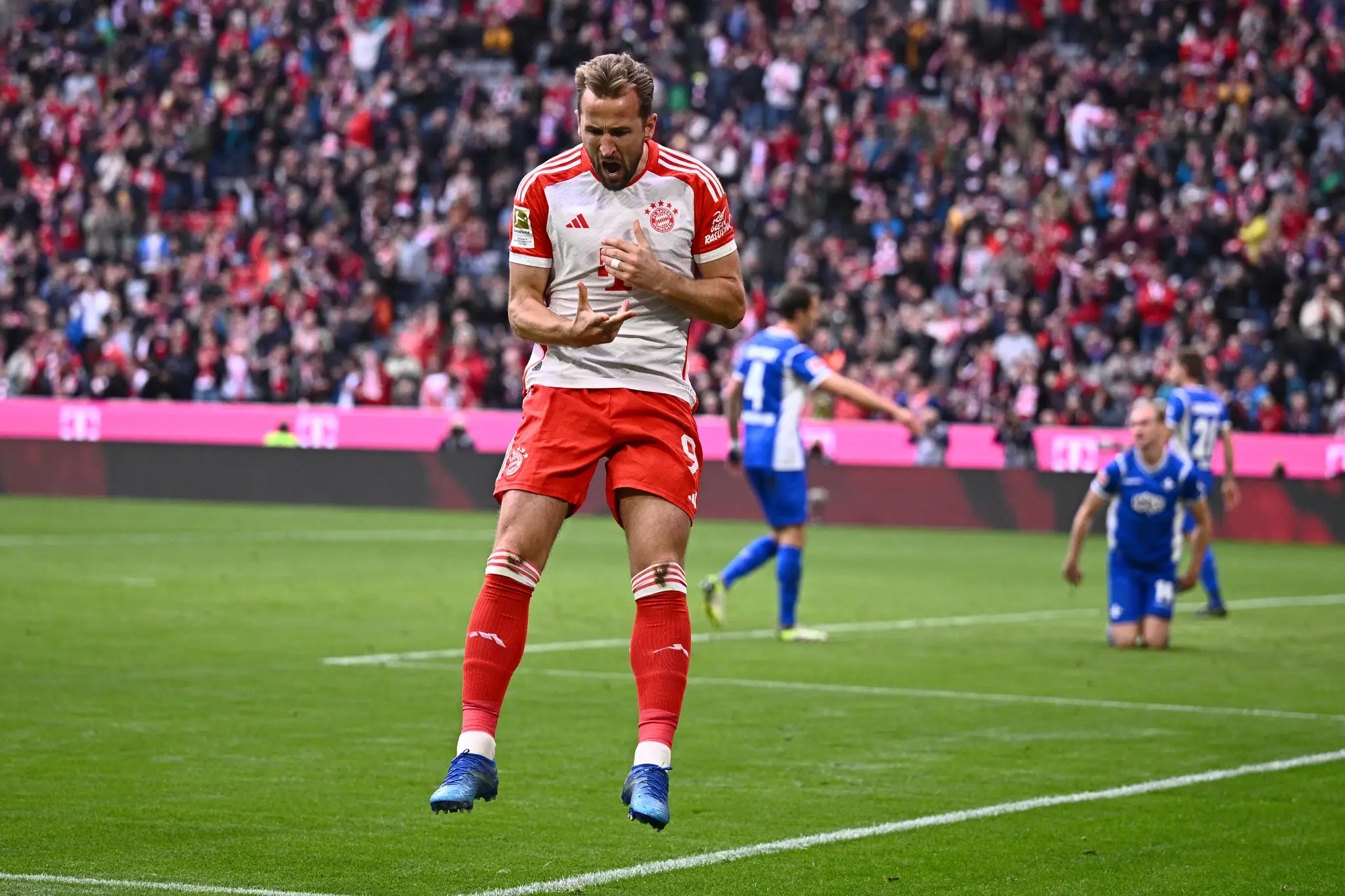 Harry Kane