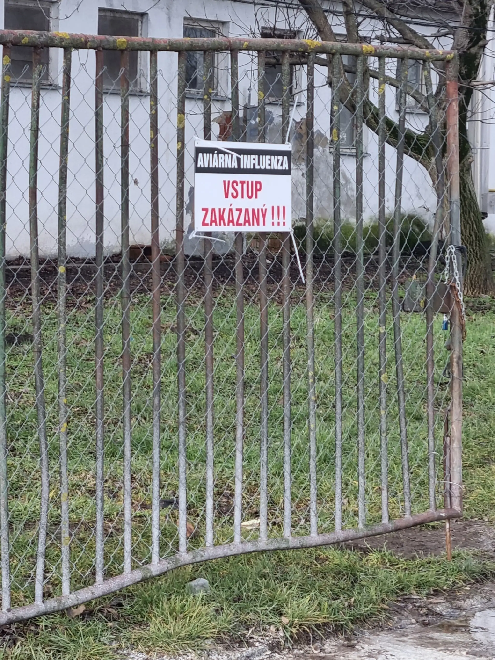 Vtáčia chrípka na farme Čalovec