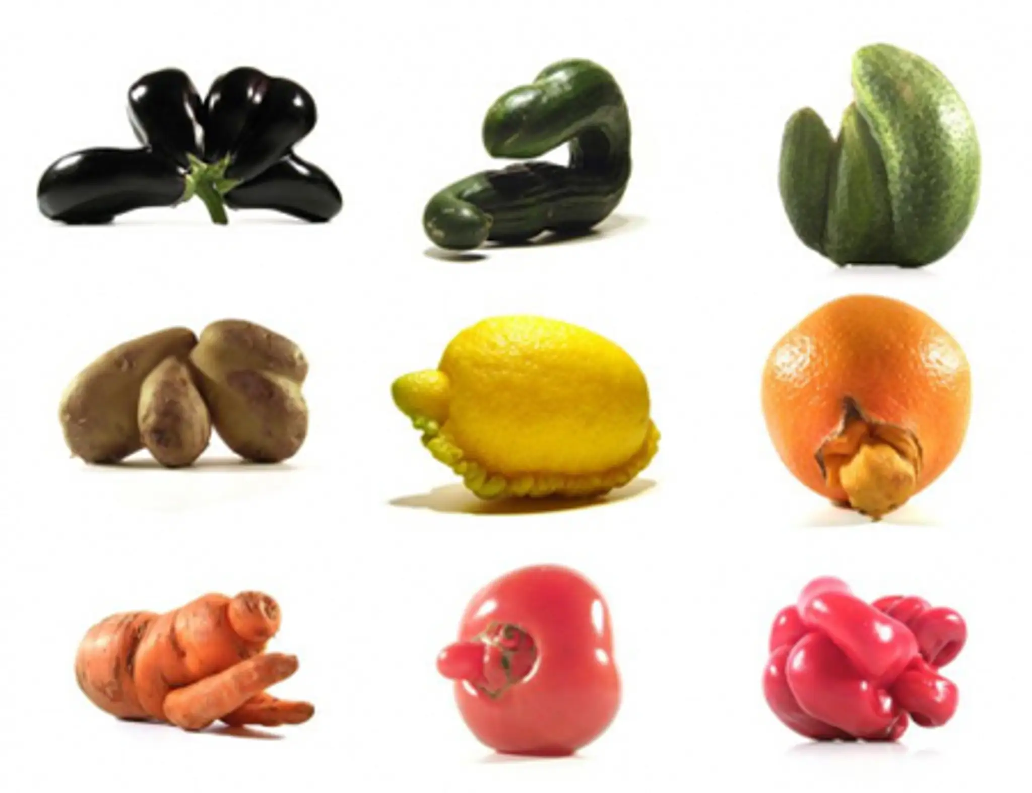 mutatoes_lg copy.jpg