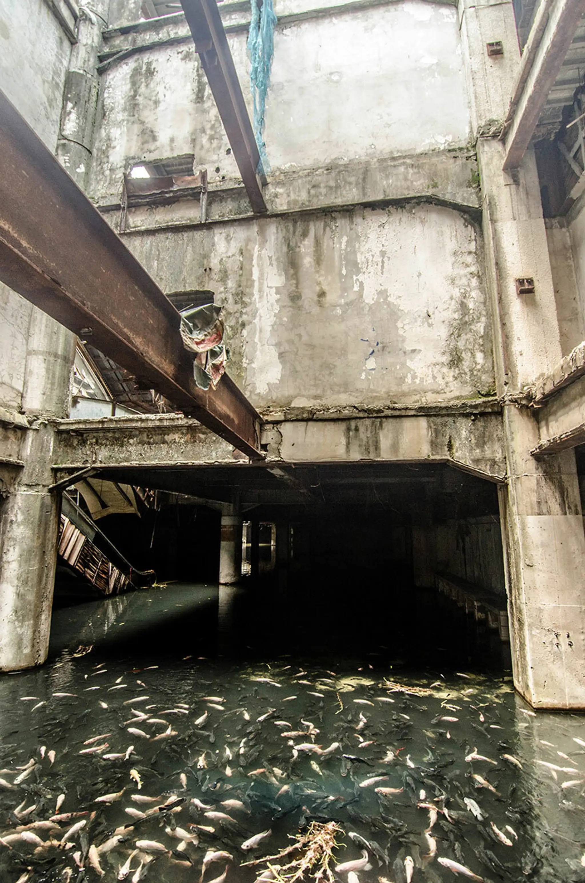 abandoned-shopping-mall-bangkok-fish-jesse-rockwell-8.jpg