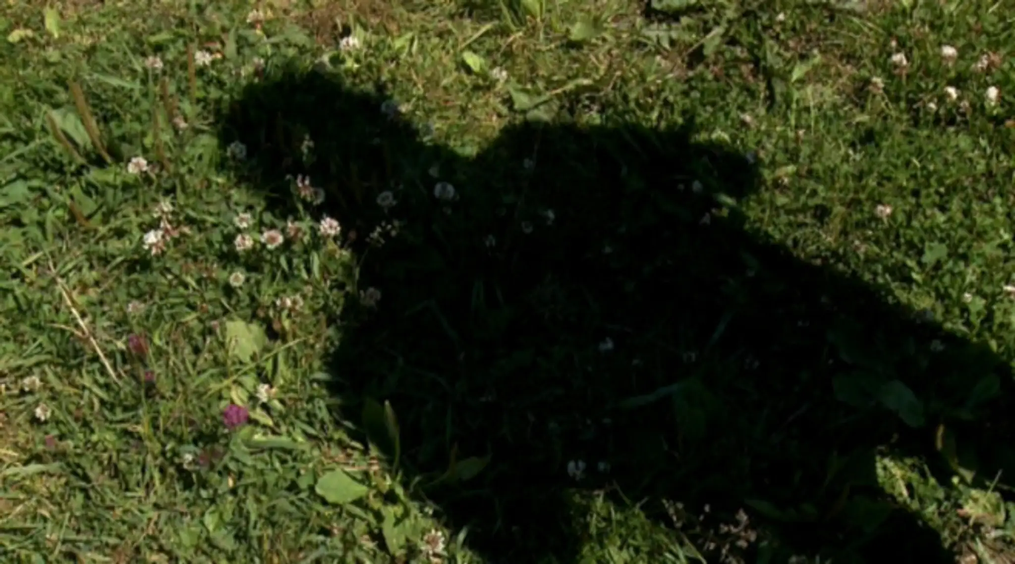 Svedok v kauze údajného obchodu so zbraňami.