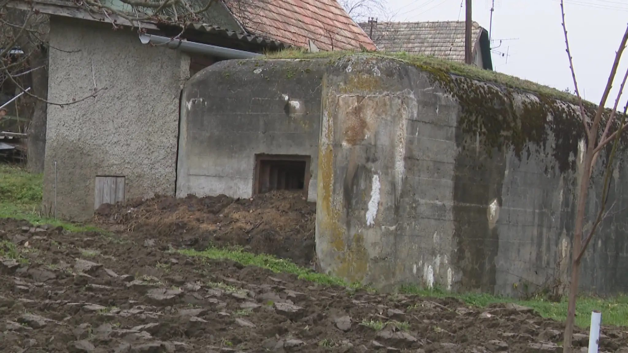 Bunker