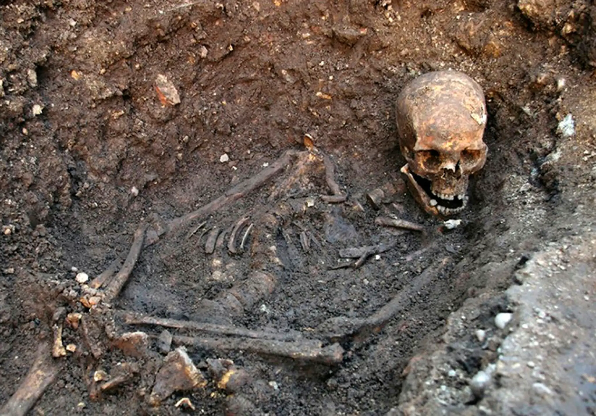 Pozostatky kráľa Richarda III., ktoré sa našli v septembri 2012 pod parkoviskom v centre mesta Leicester.