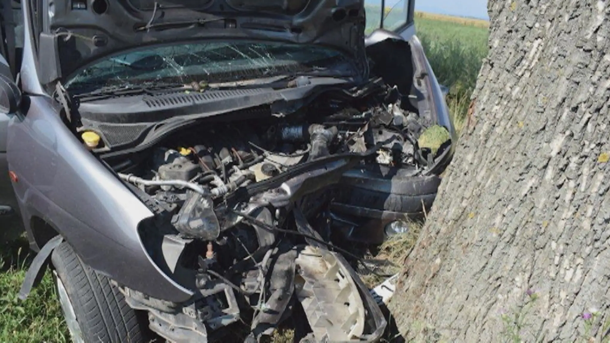  Auto zastavil čelný náraz do stromu.