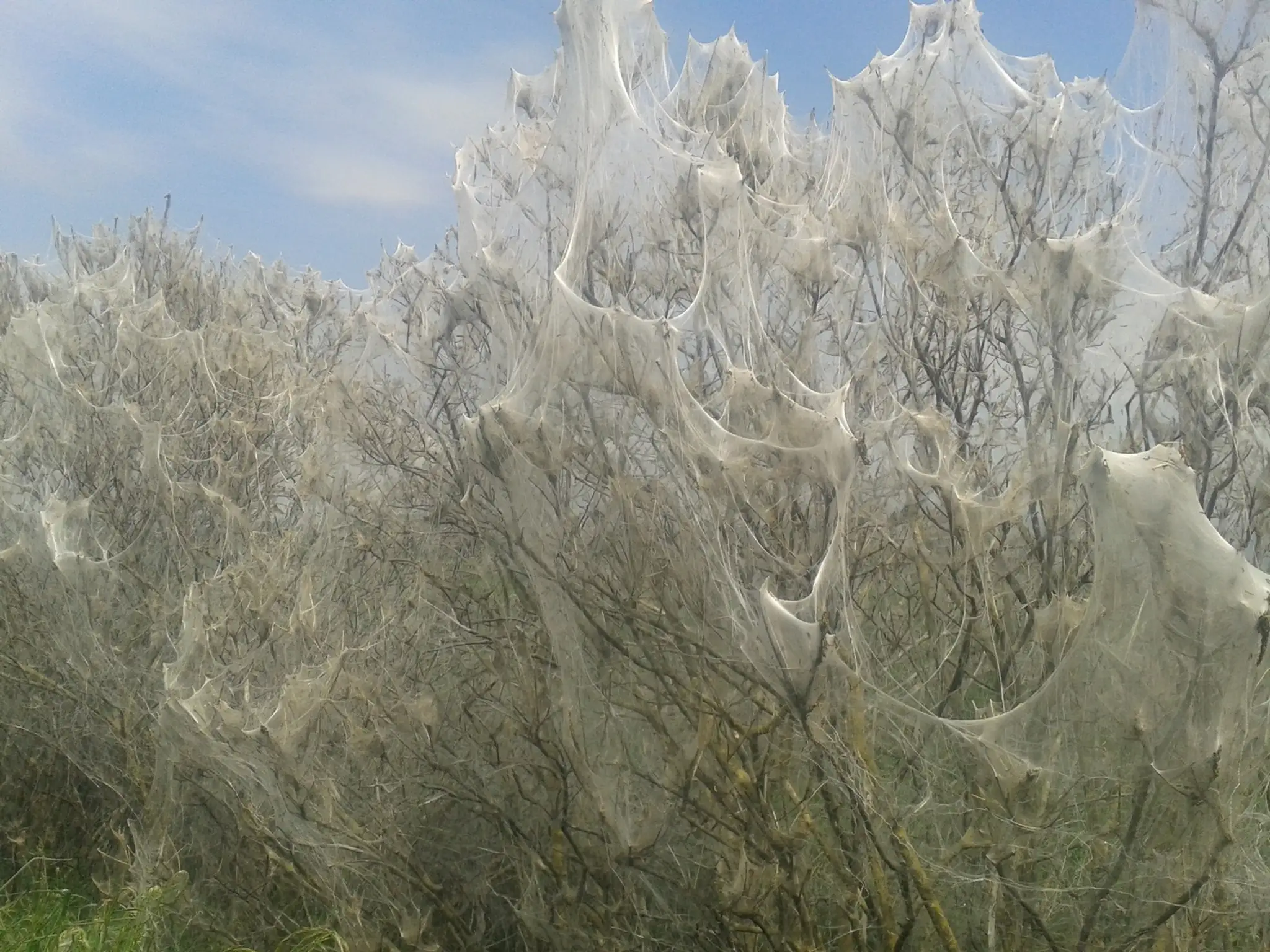 20140503_142255.jpg
