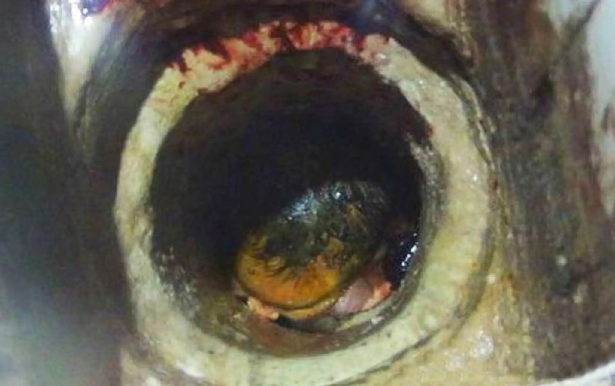 Študentka porodila do záchodu, dieťa museli vysekať z potrubia