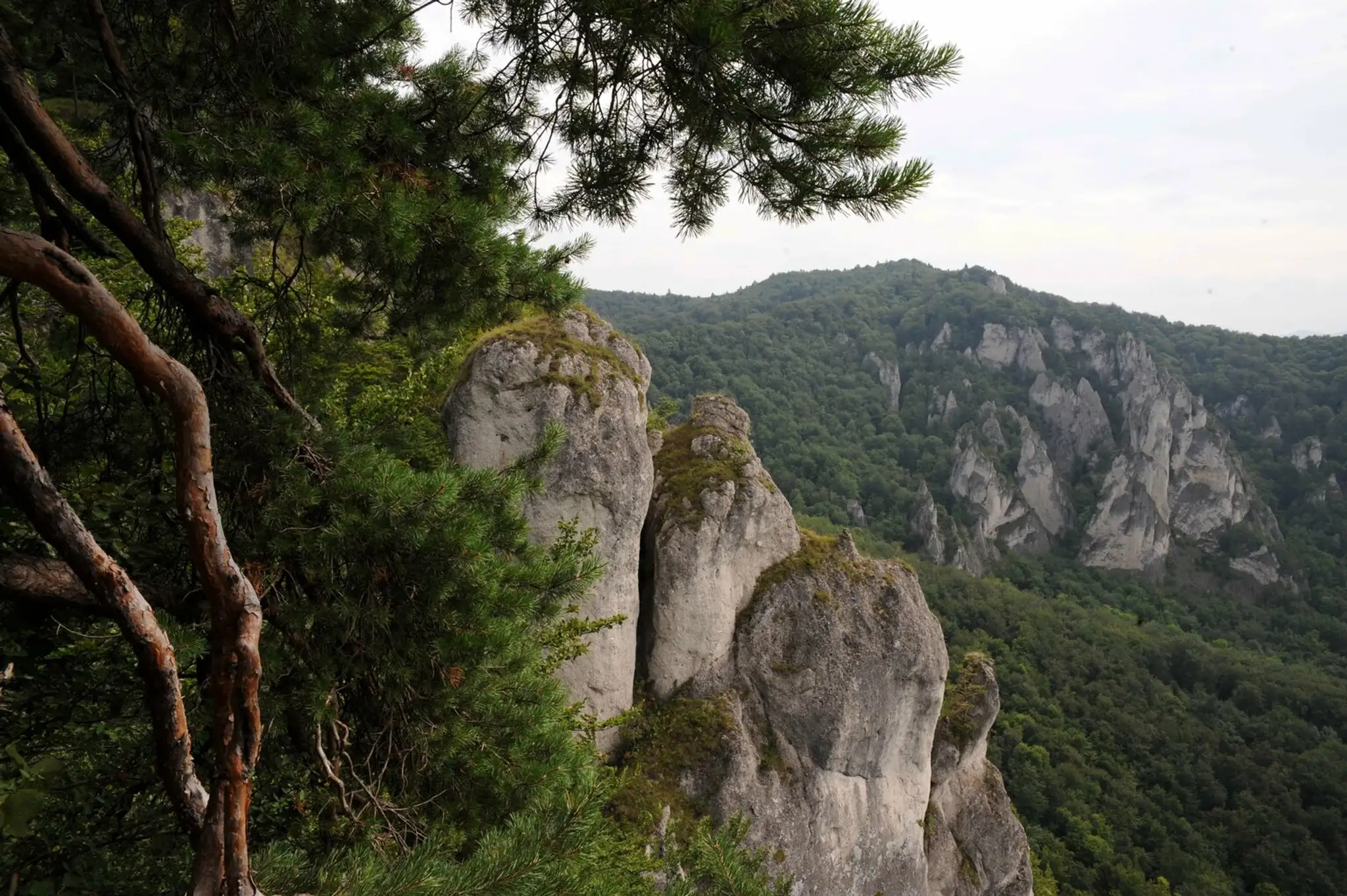 Zaujímavé tvary jedného z najznámejších skalných miest Slovenska - Súľovských skál