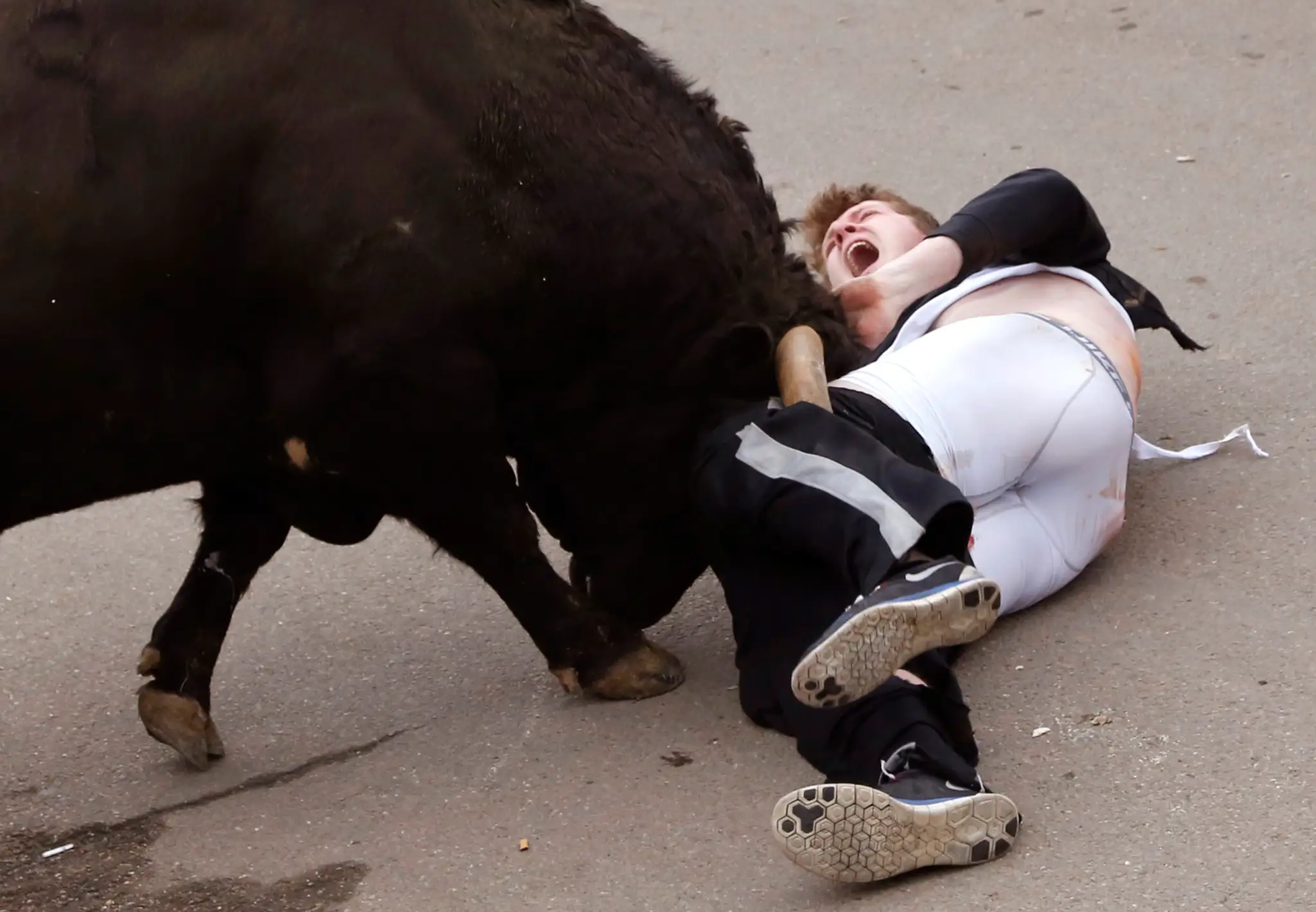 Najdesivejší útok býka.