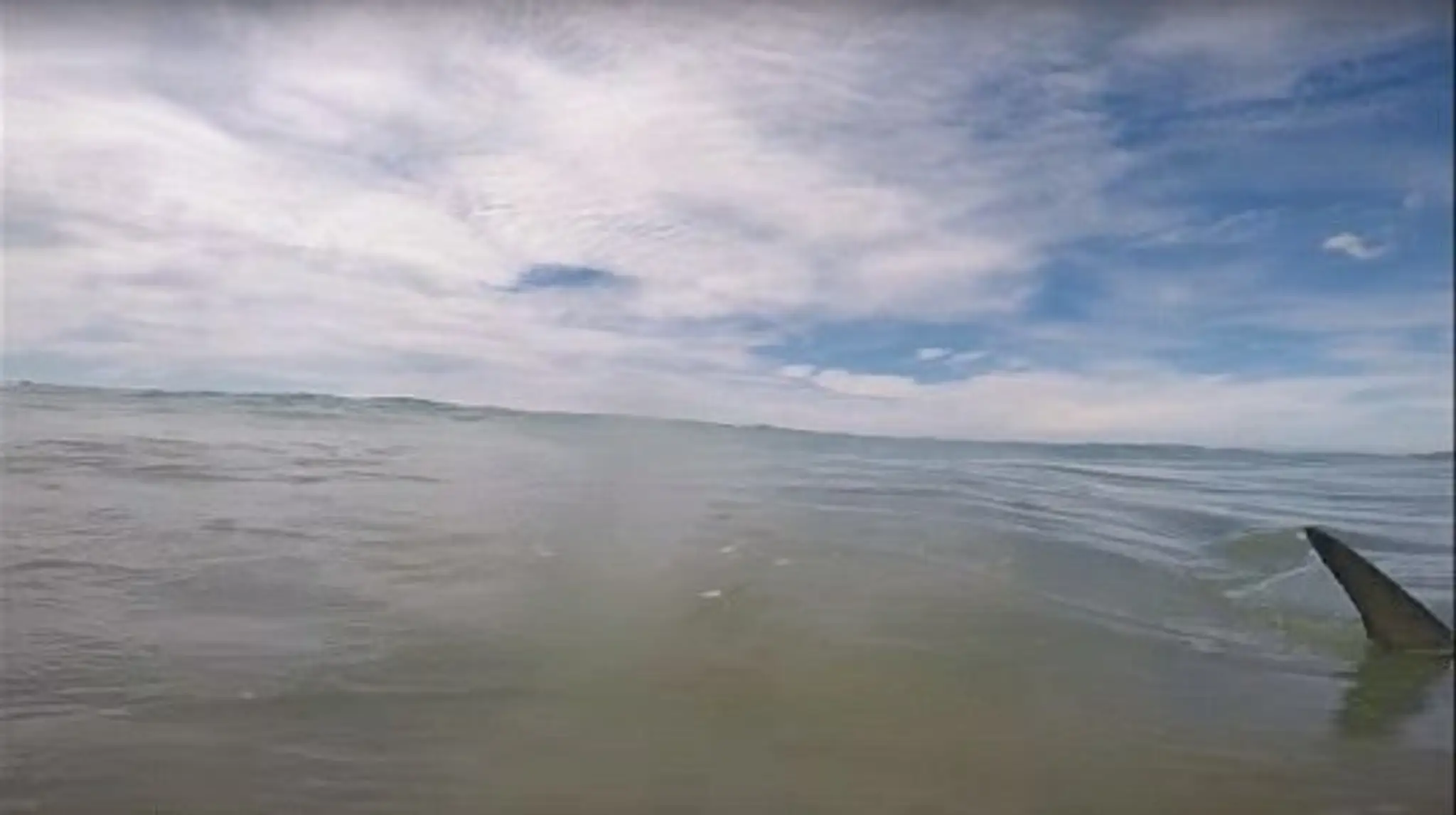31C8C2F200000578-3473750-image-a-1_1456956268918.jpg