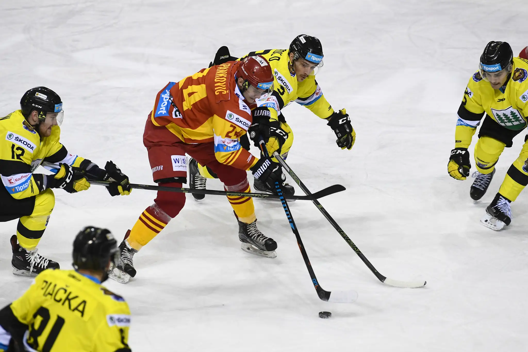 Kontrolovali ryby
