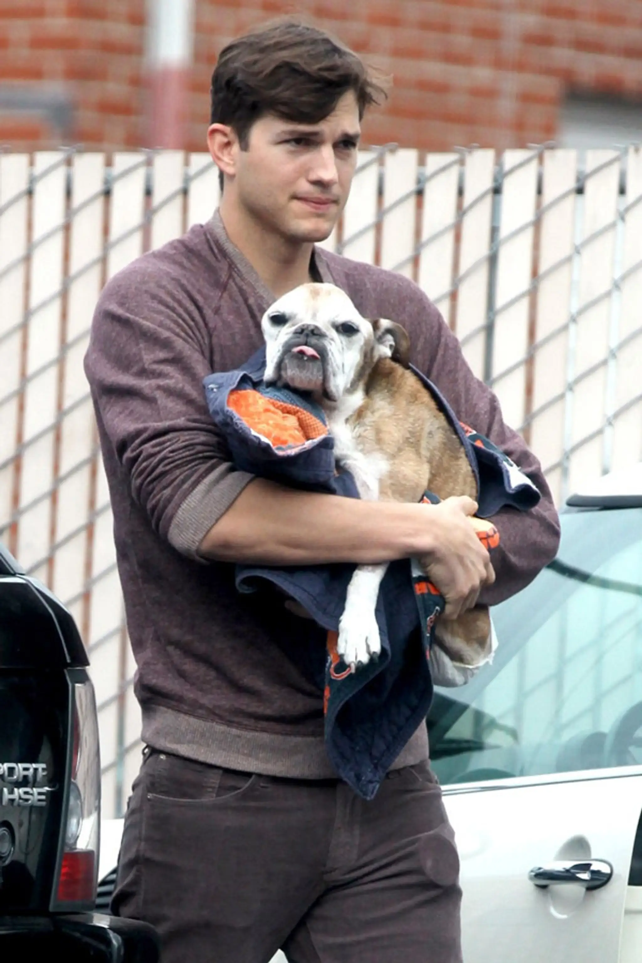 Ashton Kutcher
