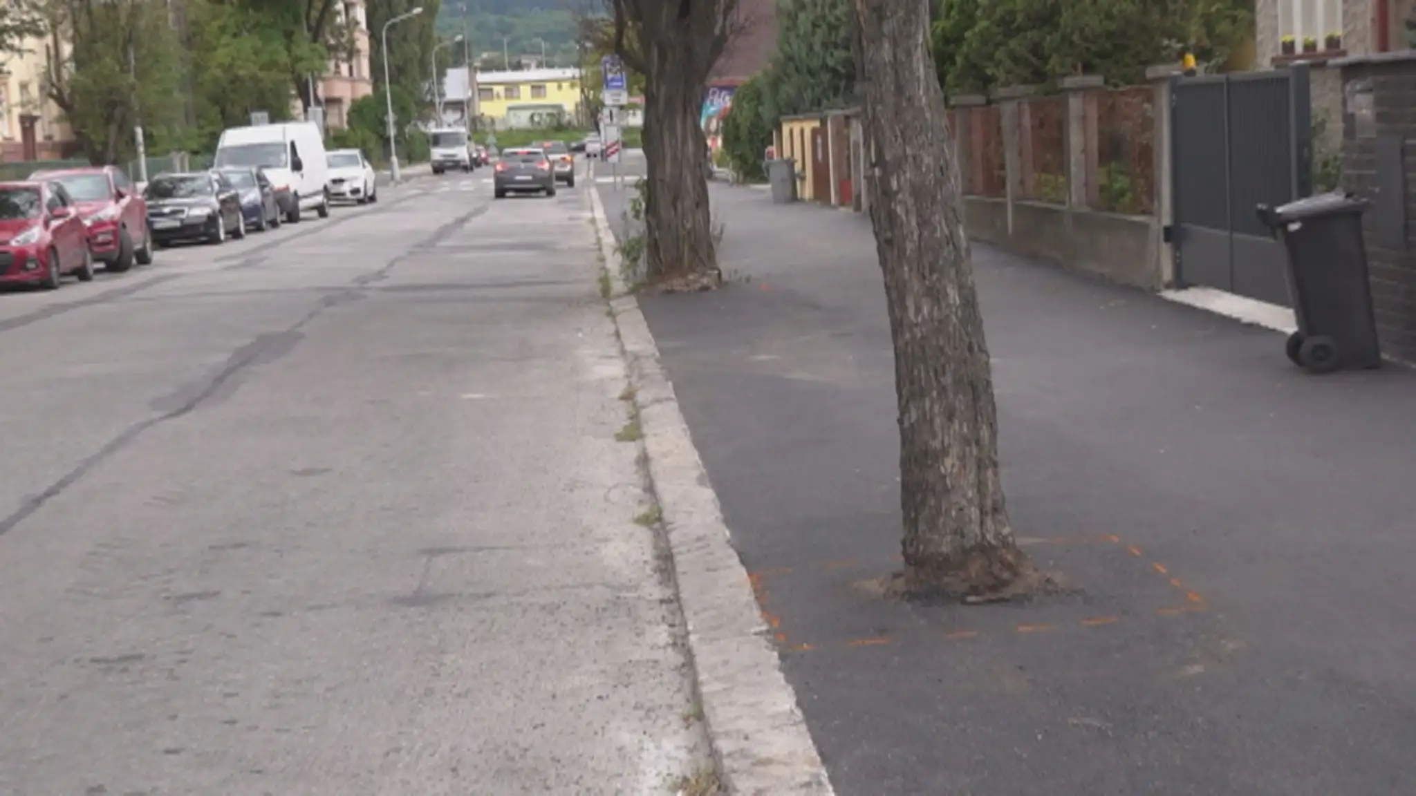 stromyweb_jpg_bez_watermarku_1.jpg