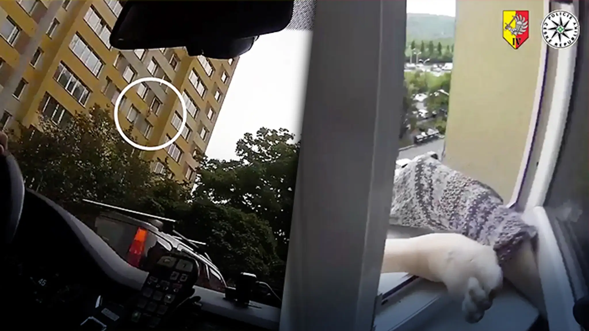 Zábery z policajného videa.