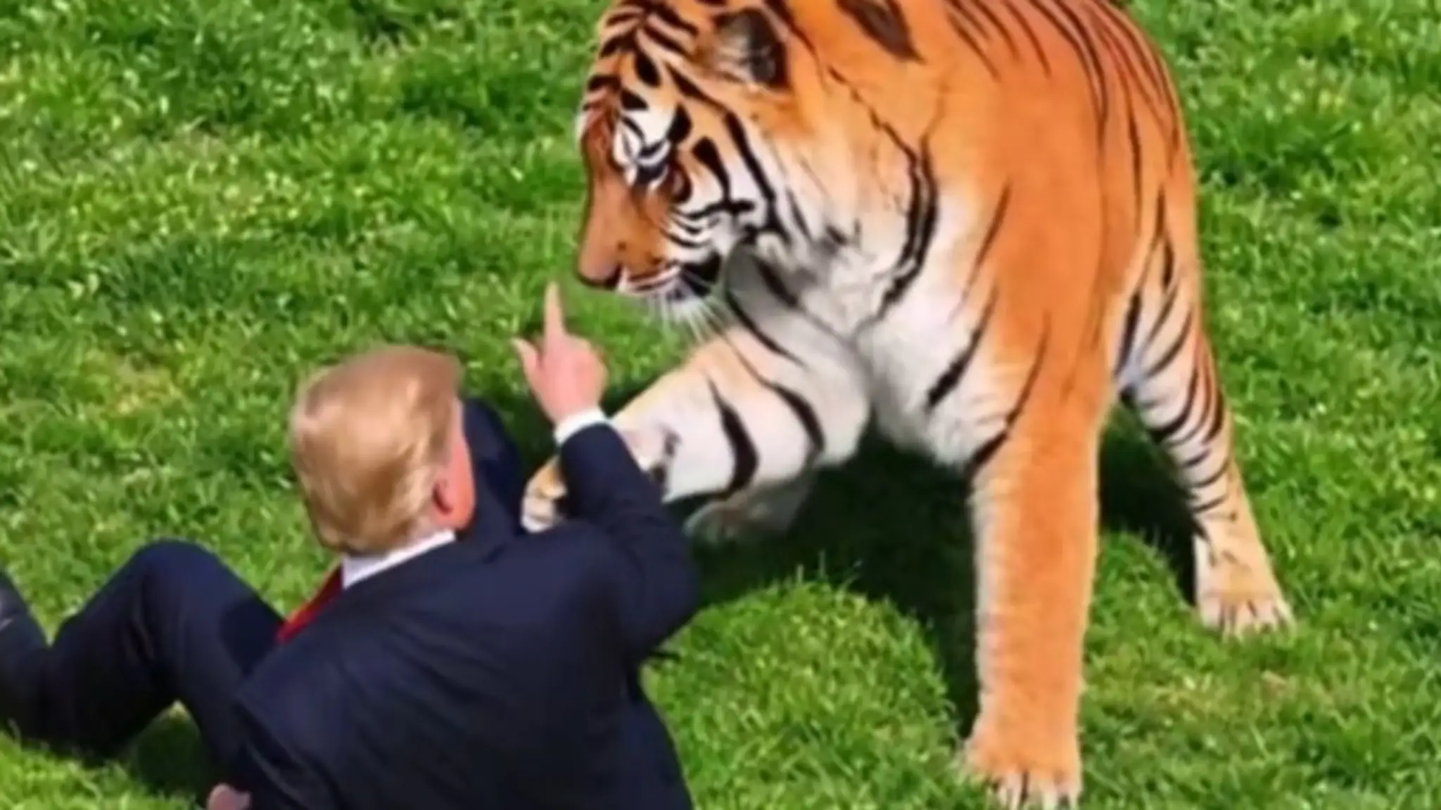 Donald Trump ukázal, ako by skrotil tigra.