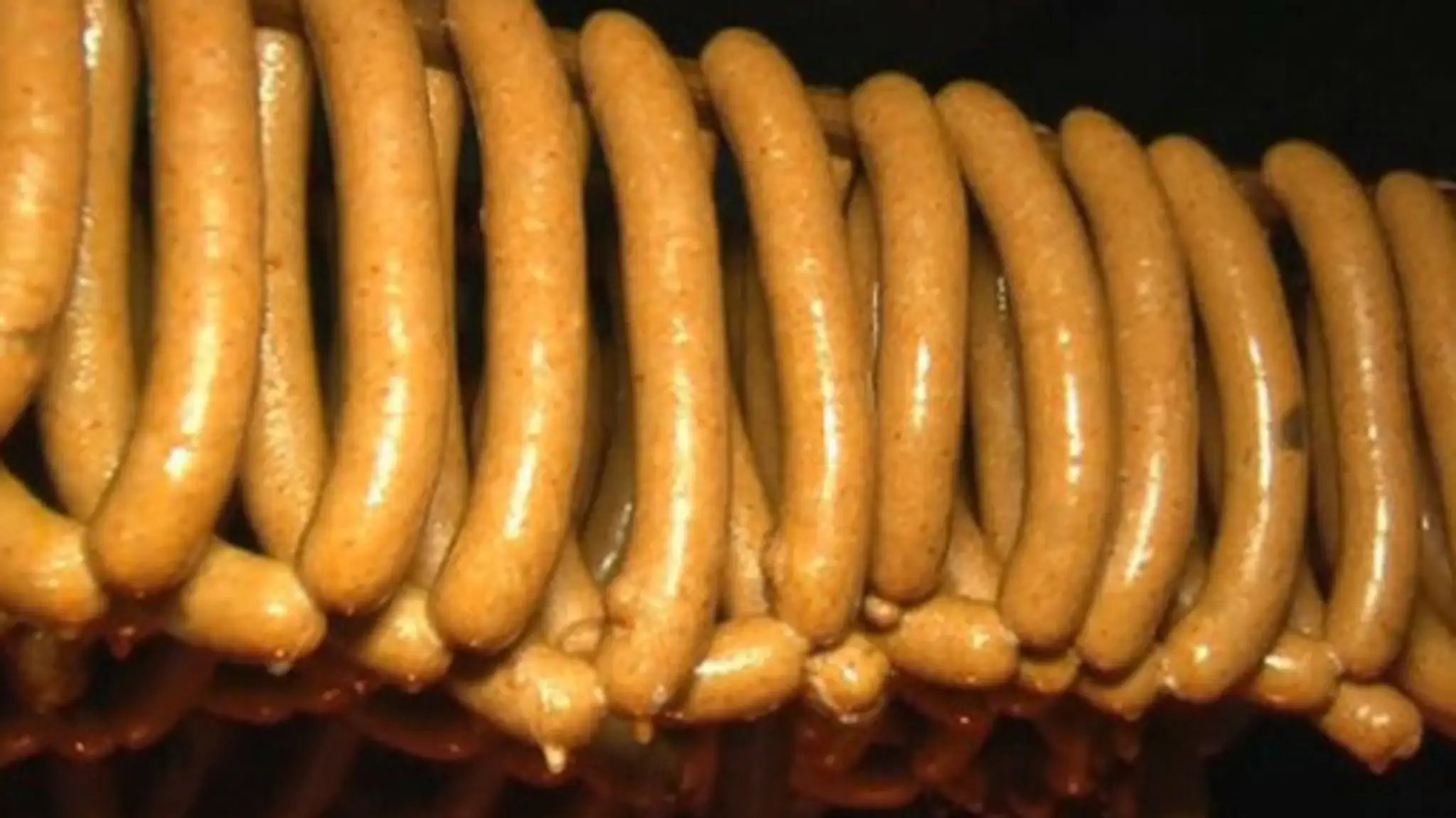 Spišské párky