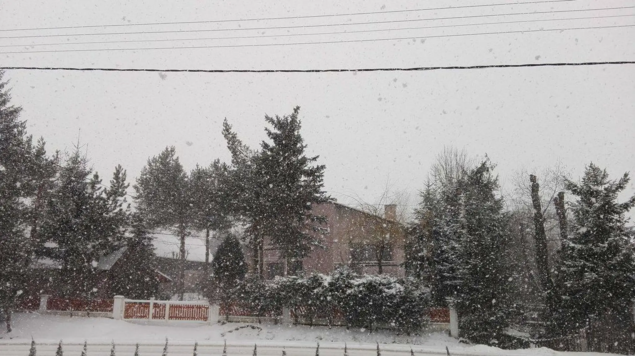Novoť.