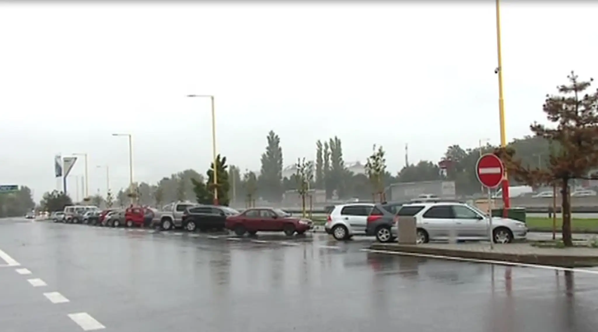 zelenec.jpg