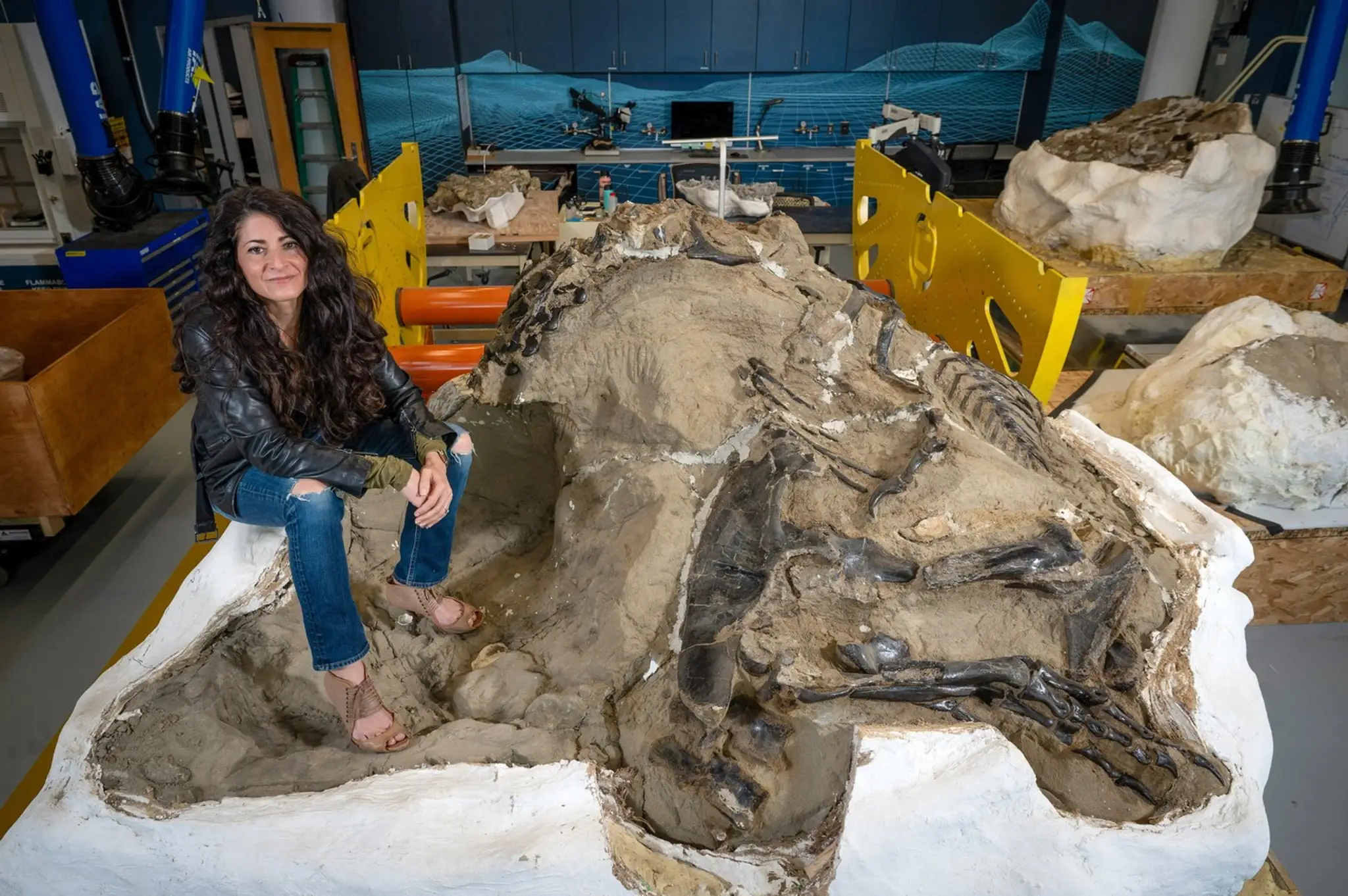 Slávna fosília „Bojujúce dinosaury“.
