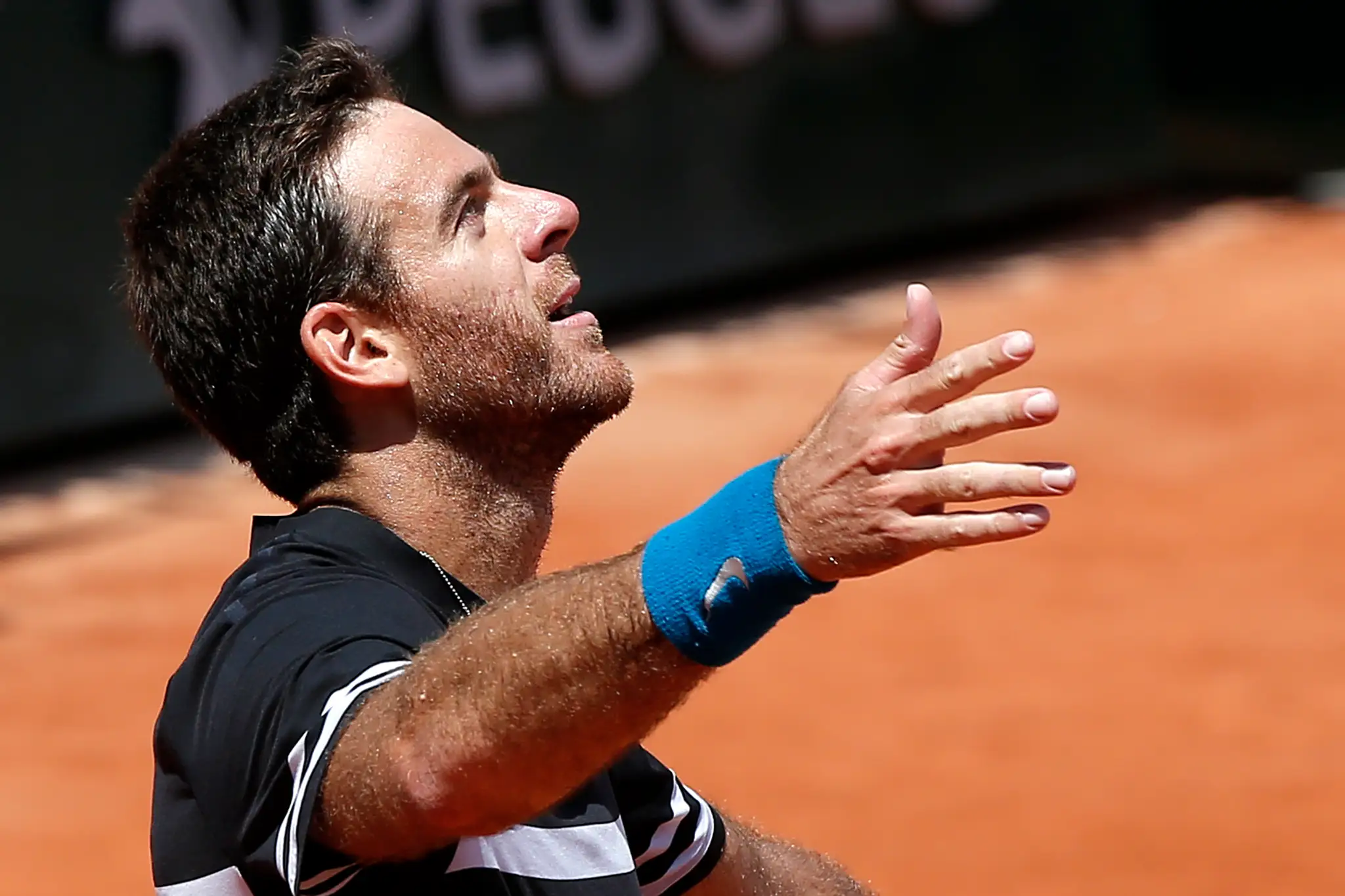 Juan Martin Del Potro sa teší z triumfu vo štvrťfinále Roland Garros proti Marinovi Čiličovi.