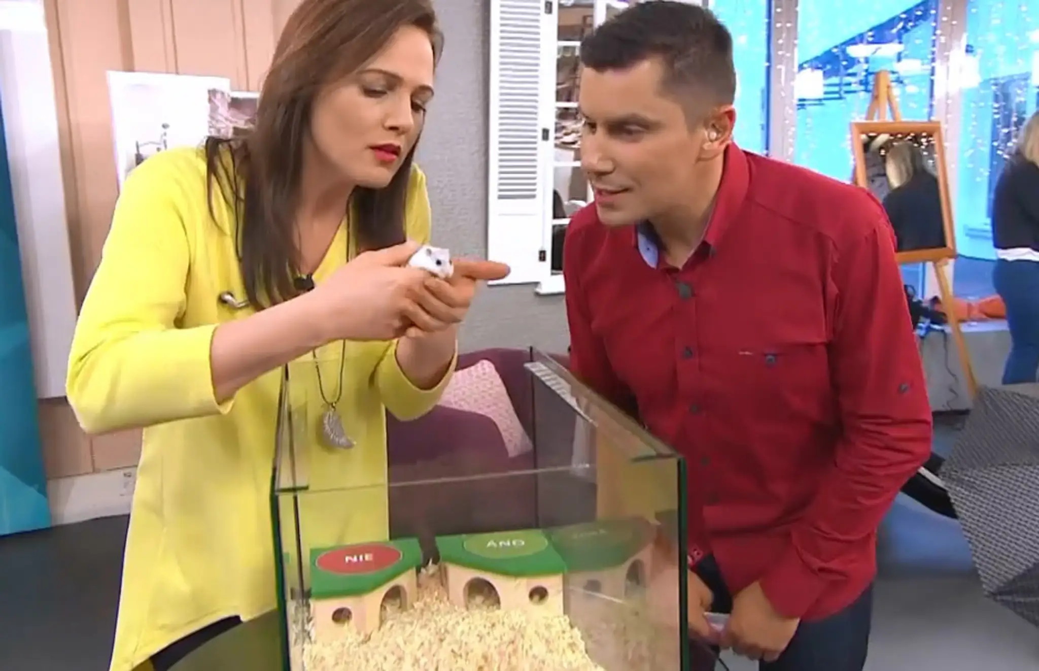 Získajú Oscara či nie? Markizácka Tippy v tom má jasno!