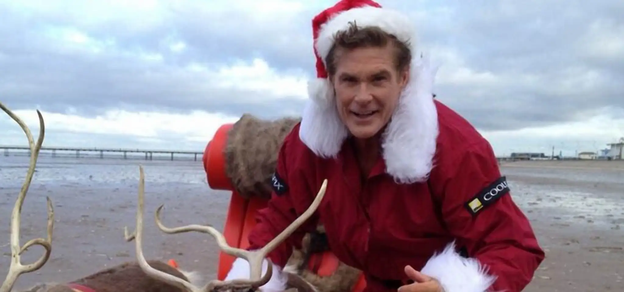 David Hasselhoff