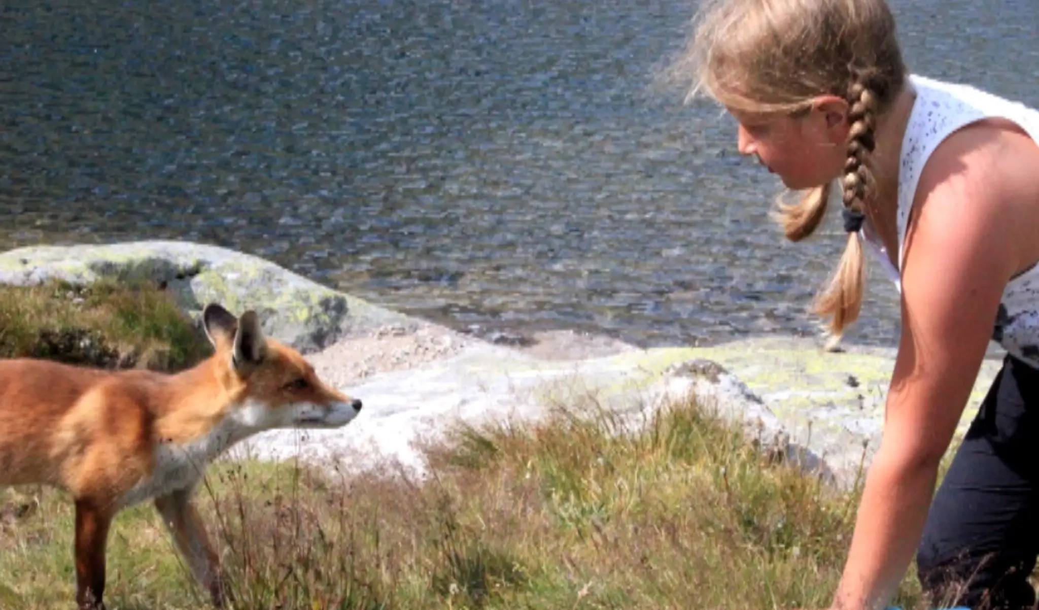 liska fotoweb_jpg_bez_watermarku_1.jpg