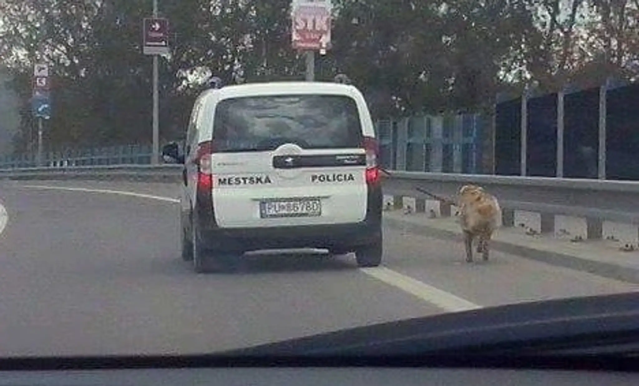 policajti venčia.jpg