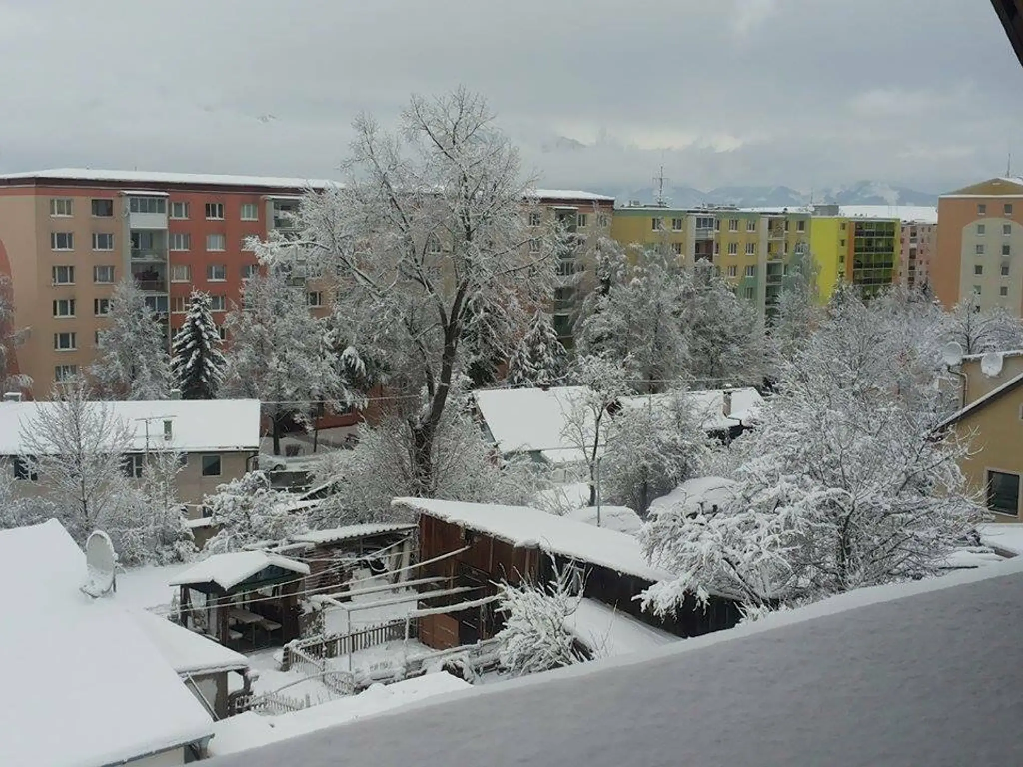 kalamitakezmarok.jpg