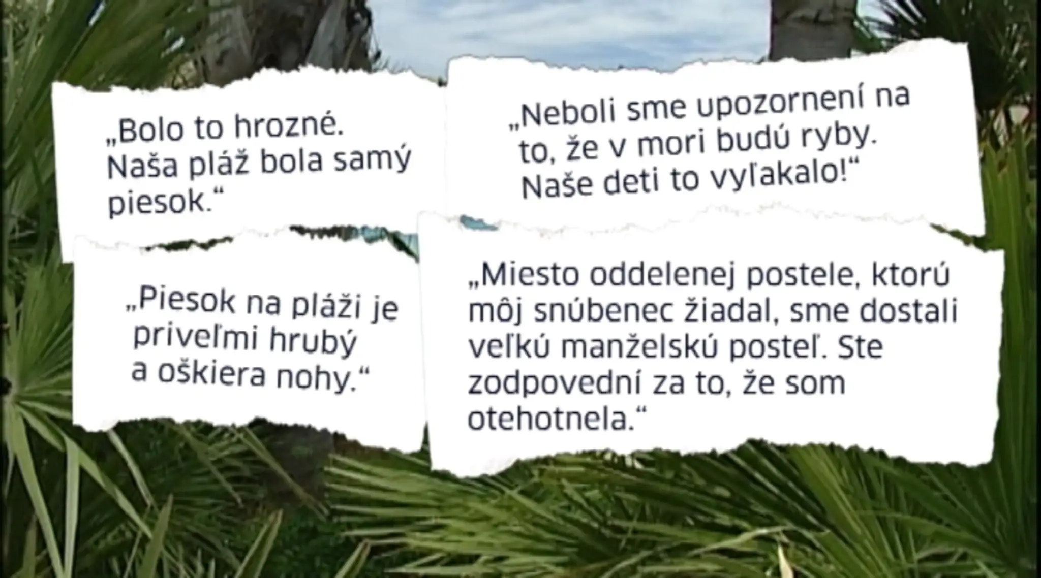 19 Poistne bizarnosti.transferweb_jpg_bez_watermarku_1.jpg