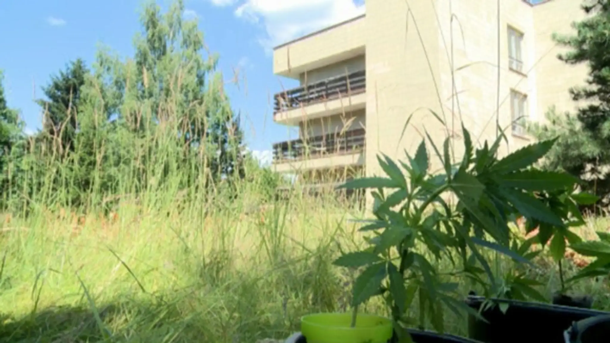 Marihuana v žilinskej nemocnici