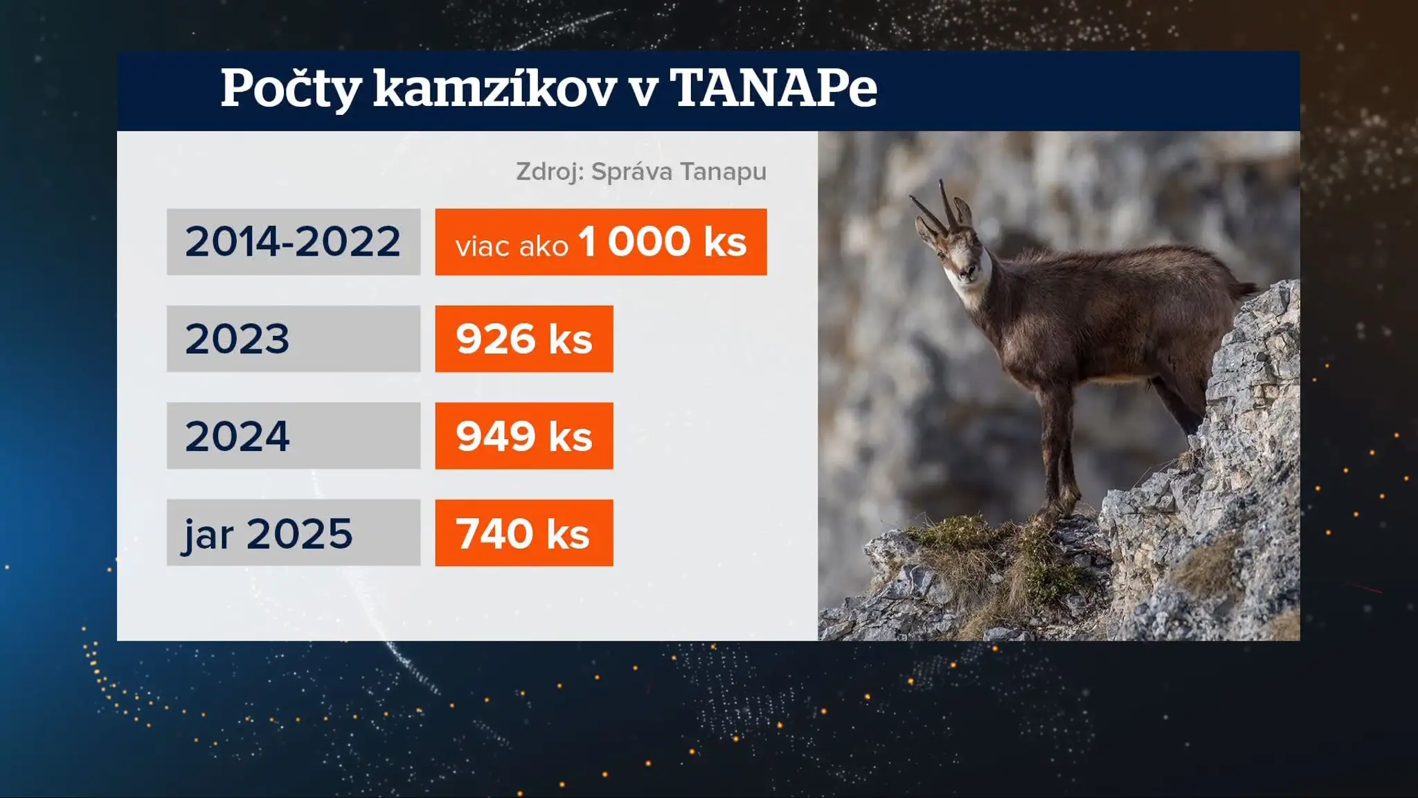Počty kamzíkov v TANAPe