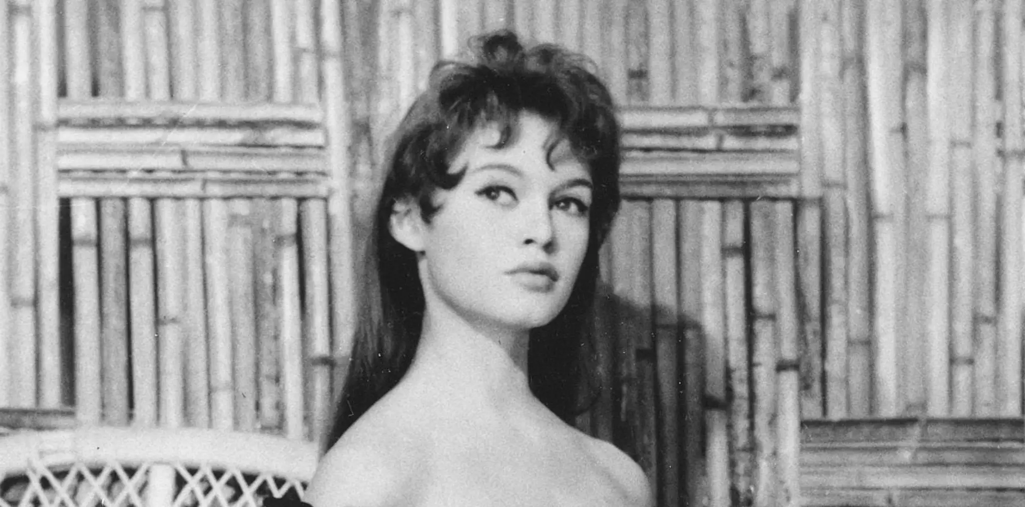 bardot_edited-1.jpg