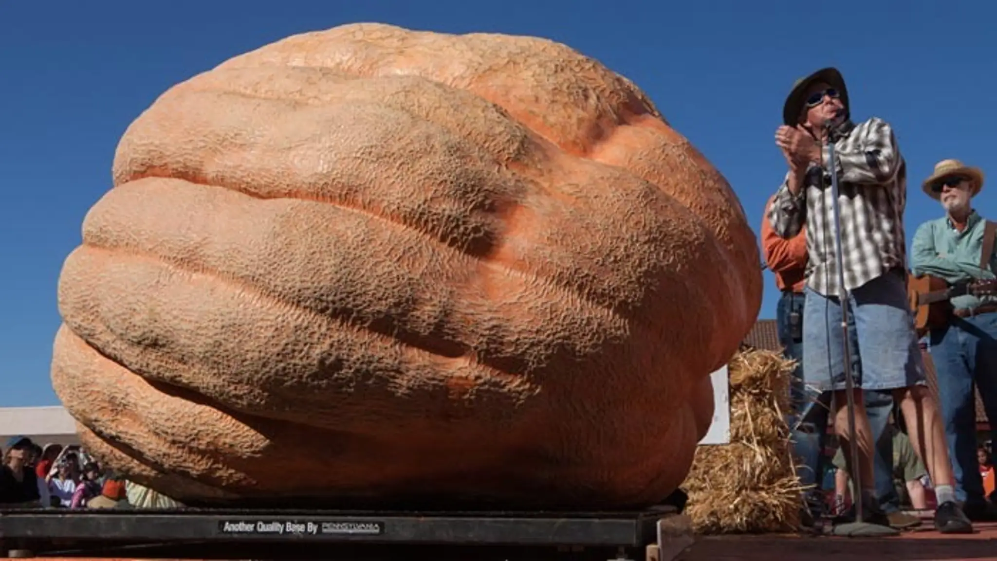 Tekvica, ktorá váži 829 kilogramov,skončila na druhom mieste.