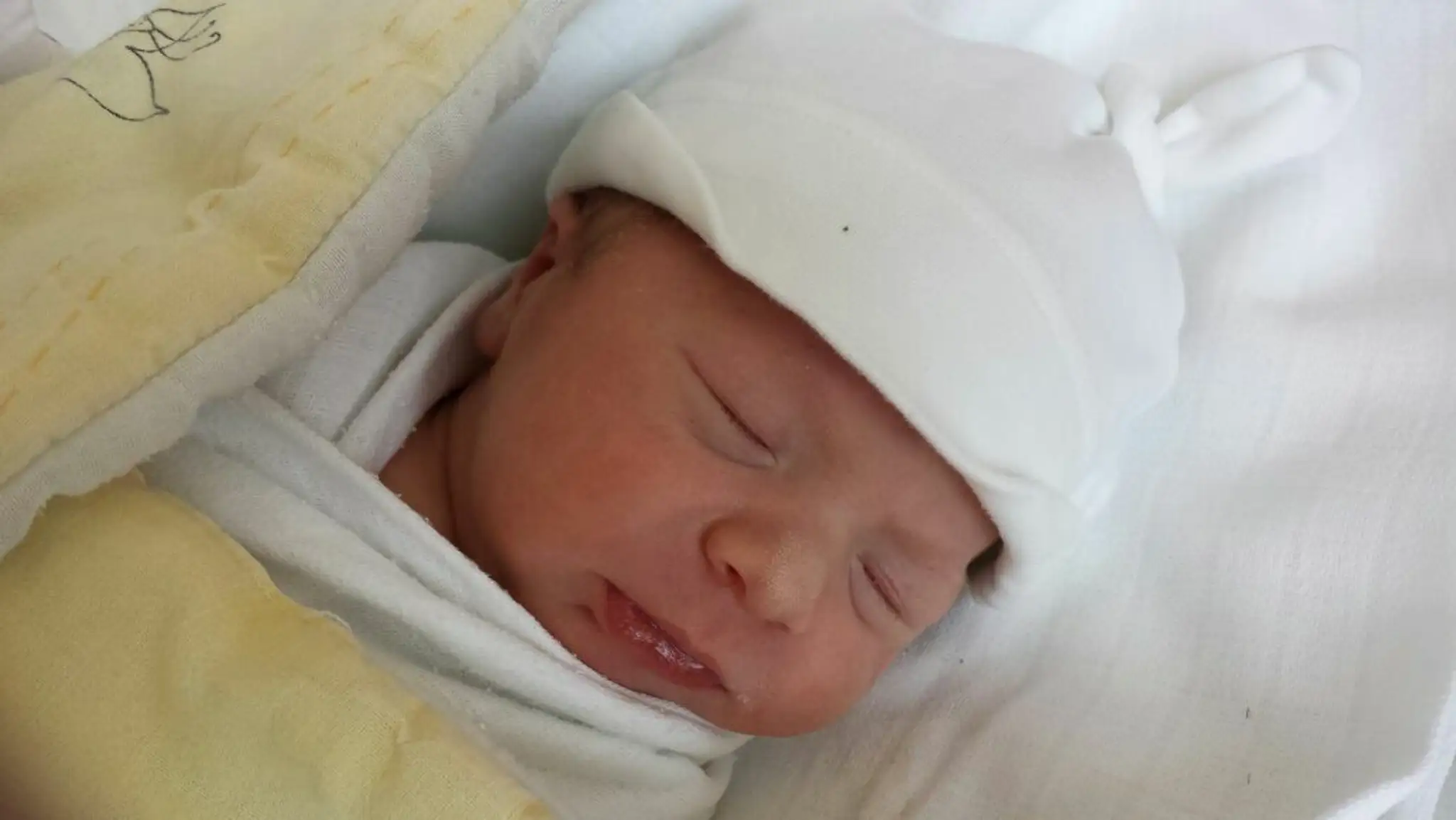 Druhý synček Zoliho z No Name- Zoli Šallai.