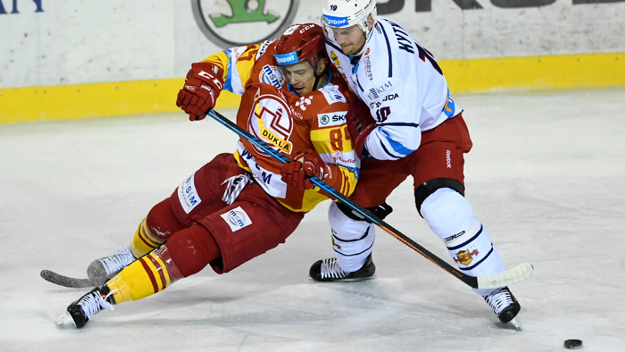 Viktorko.