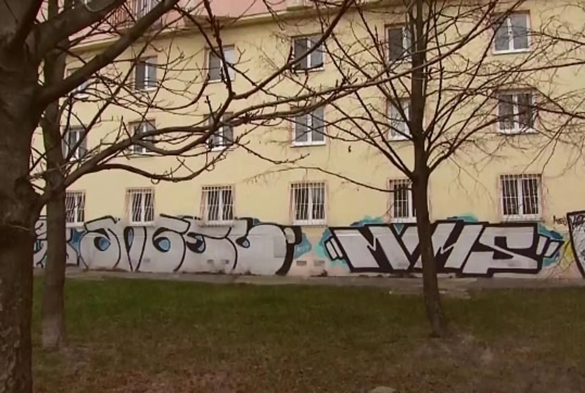 grafity.jpg