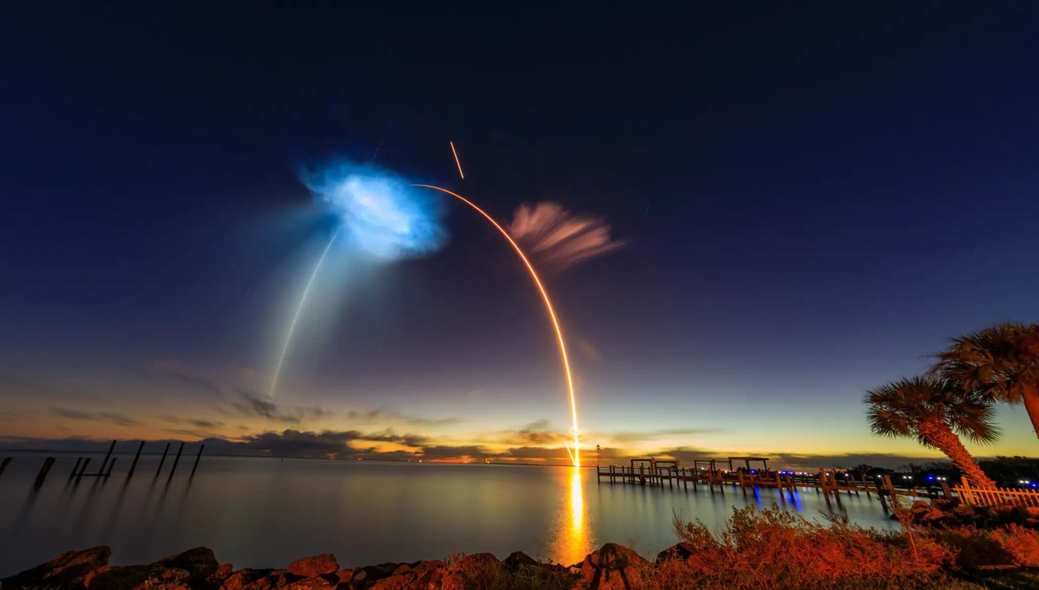 SpaceX jellyfish