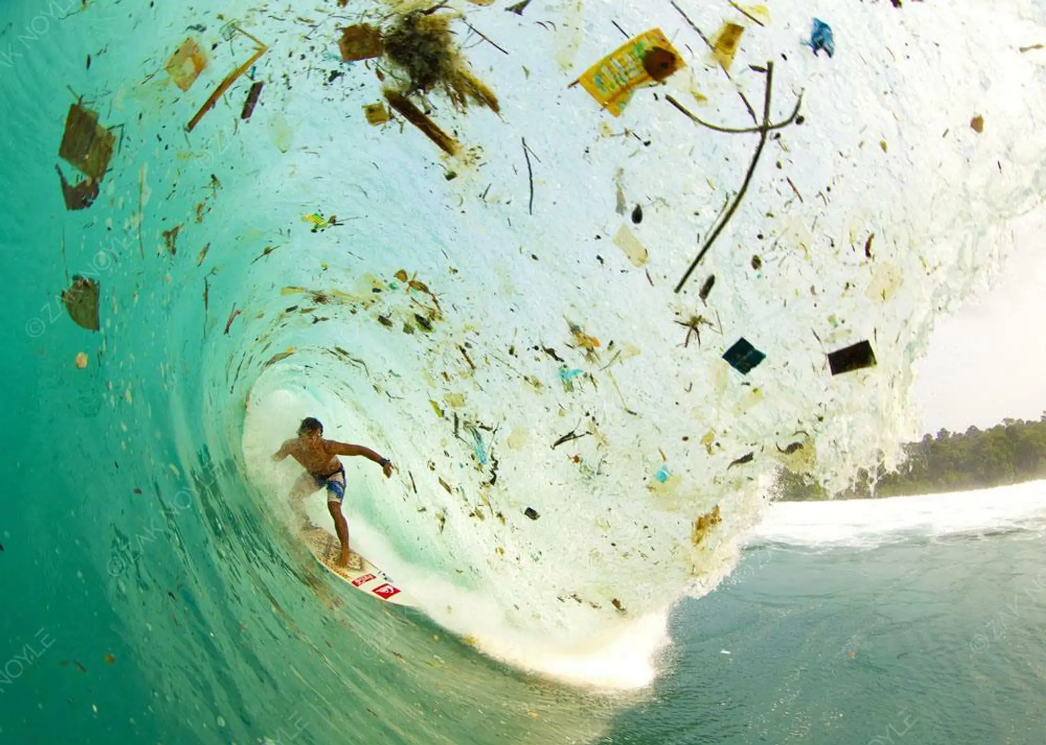 zak noyle.jpg