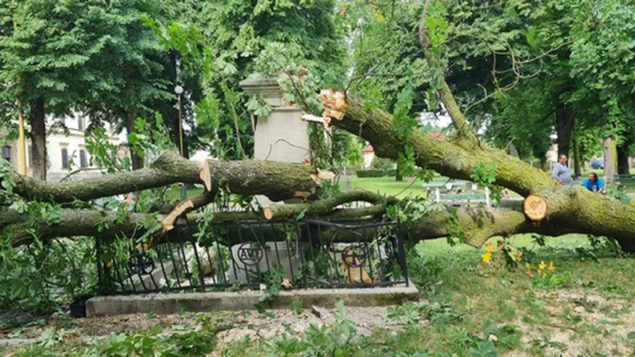 Na sochu v parku v Šaštíne spadol počas silnej búrky strom.