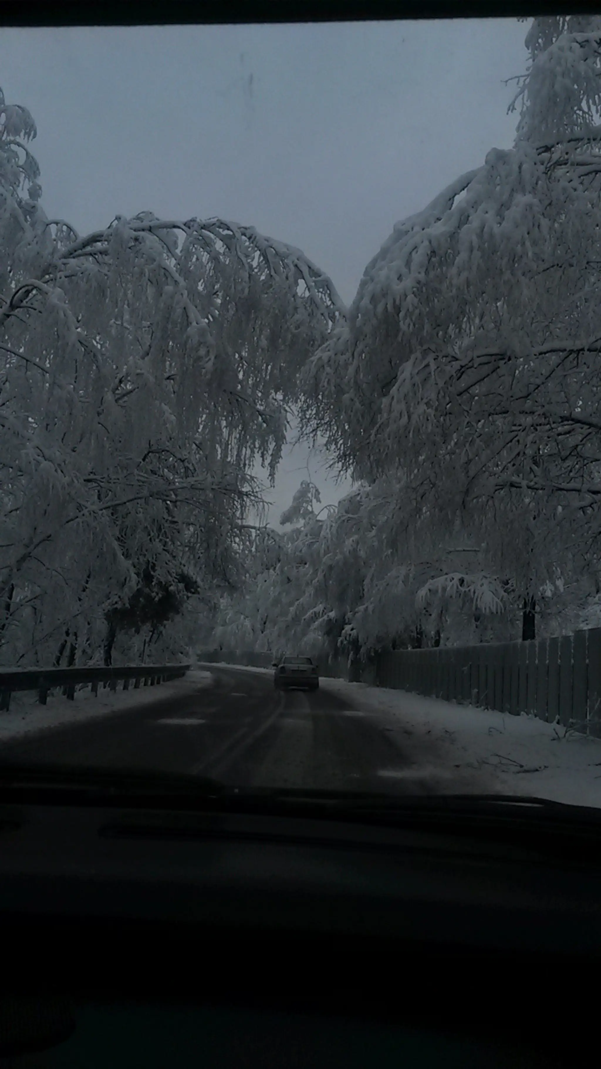 kalamitajaklovce2.jpg