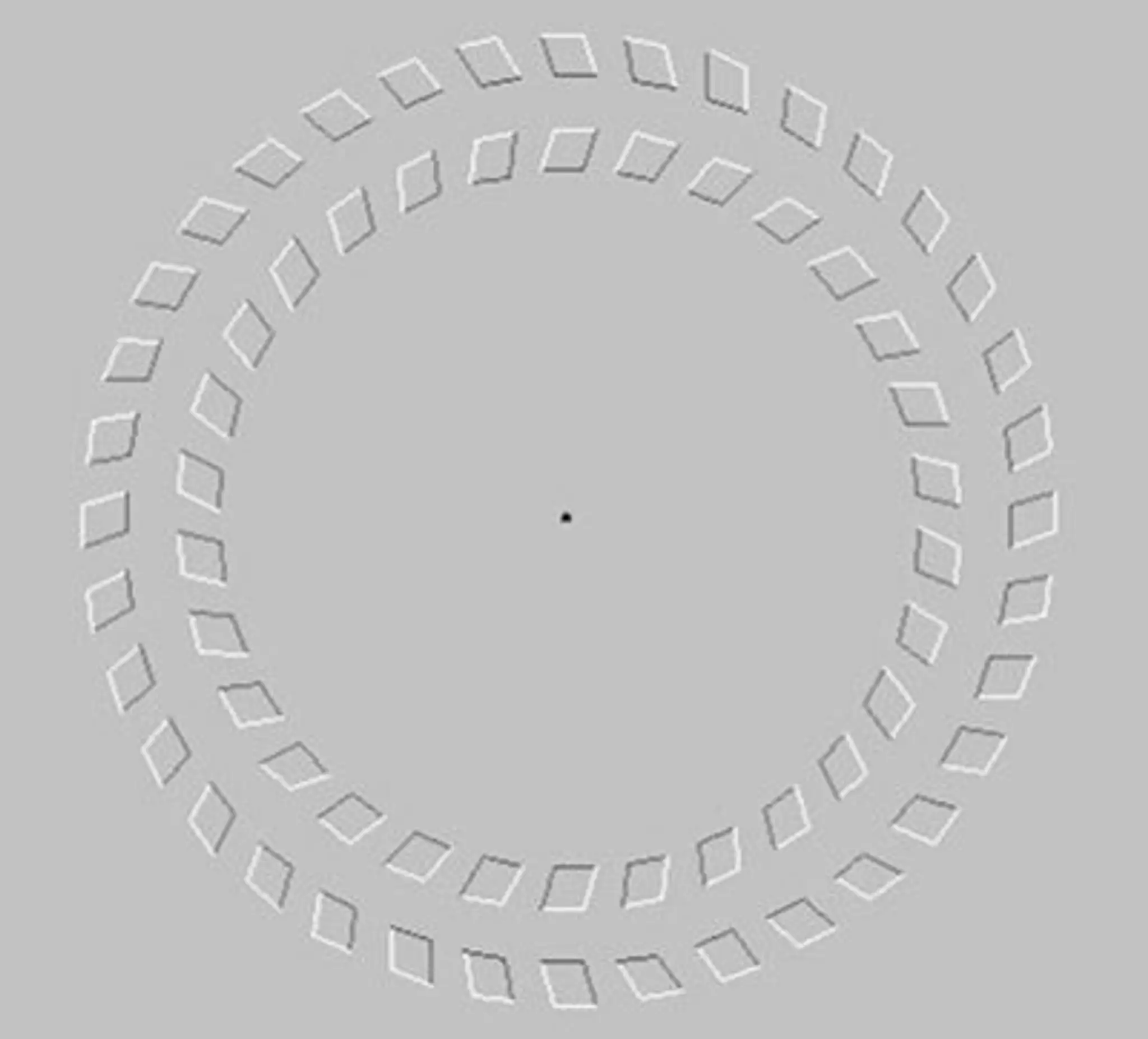 optical-illusion5.jpg