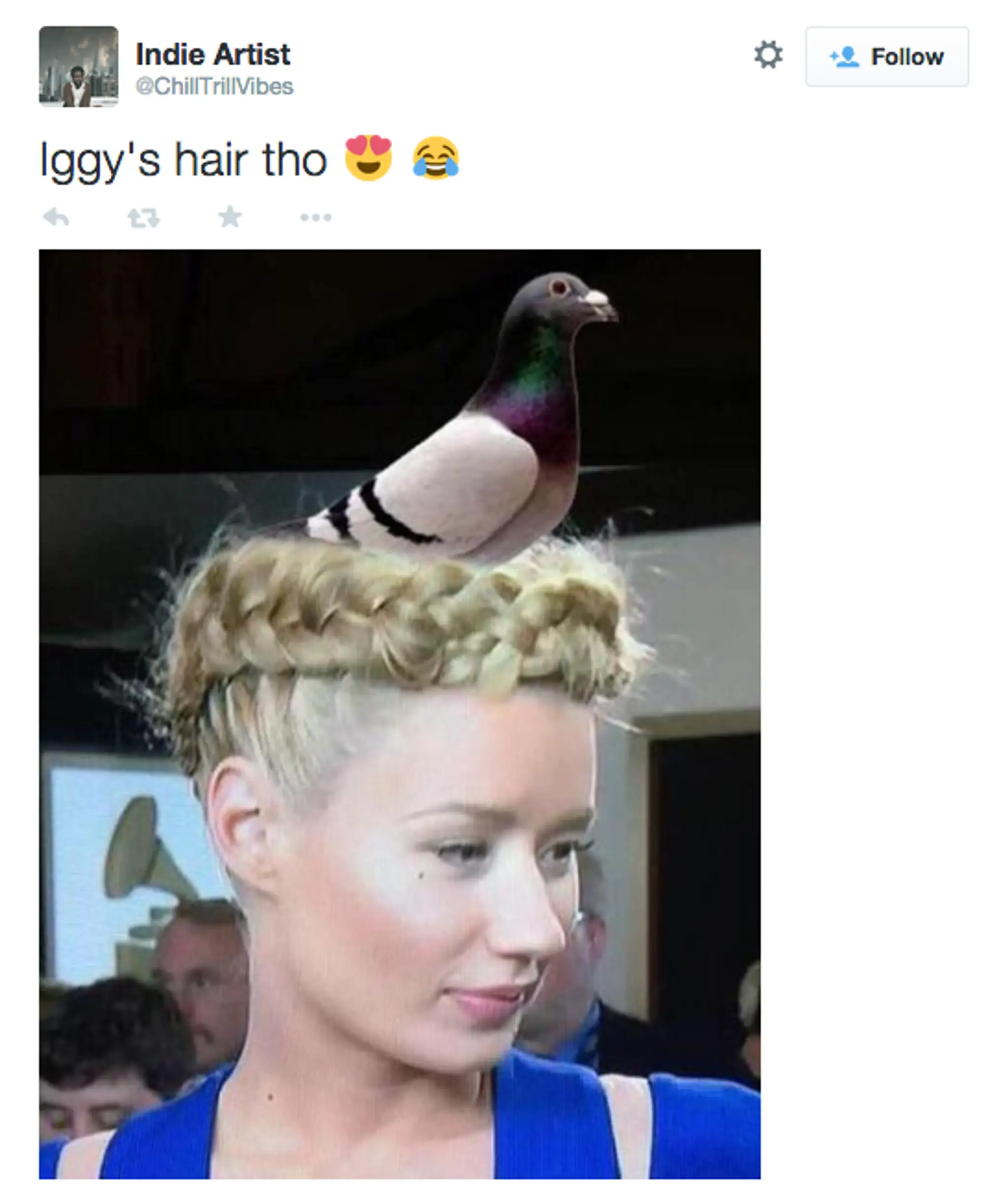 iggy4.png