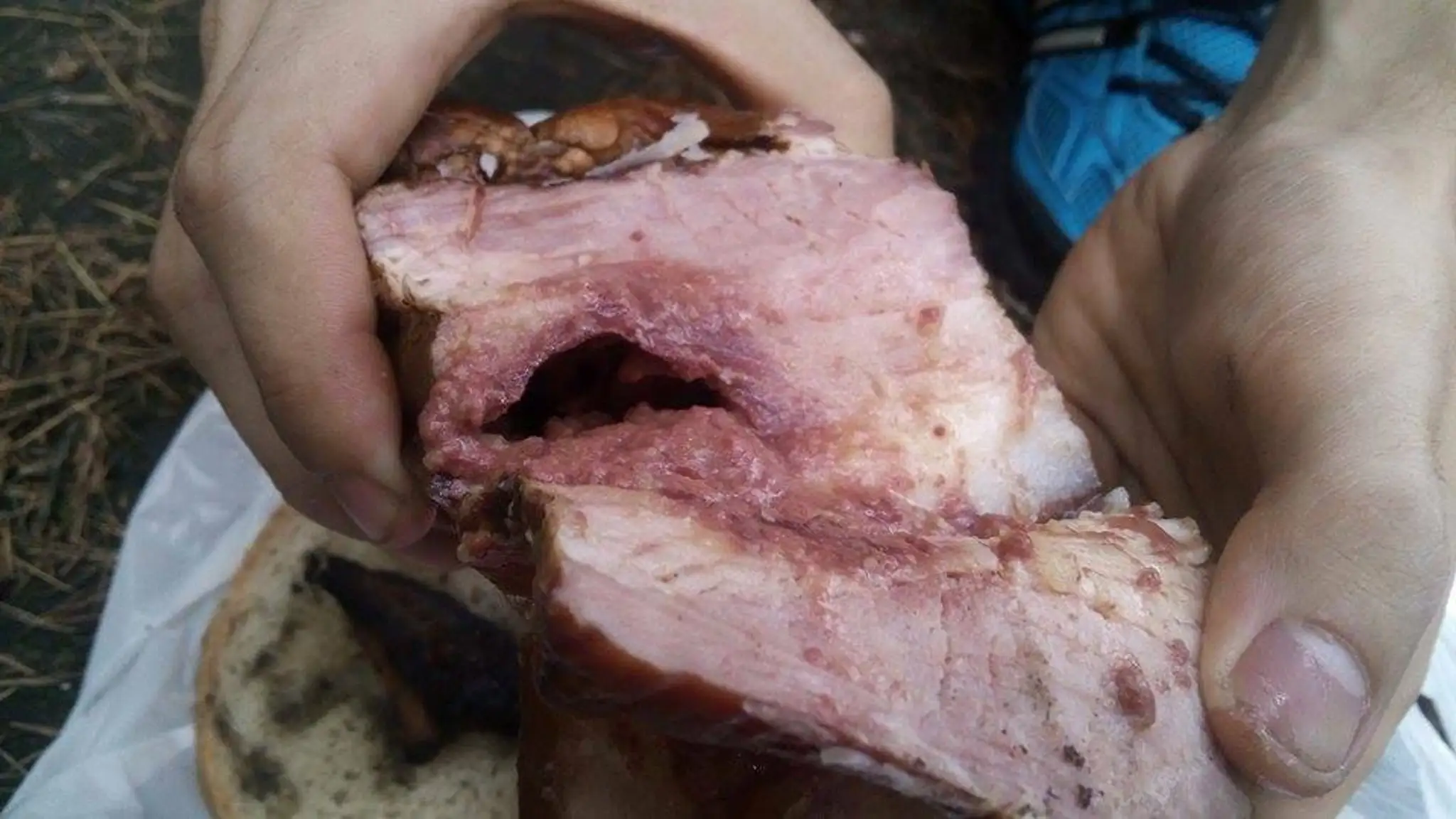 Poškodená slanina