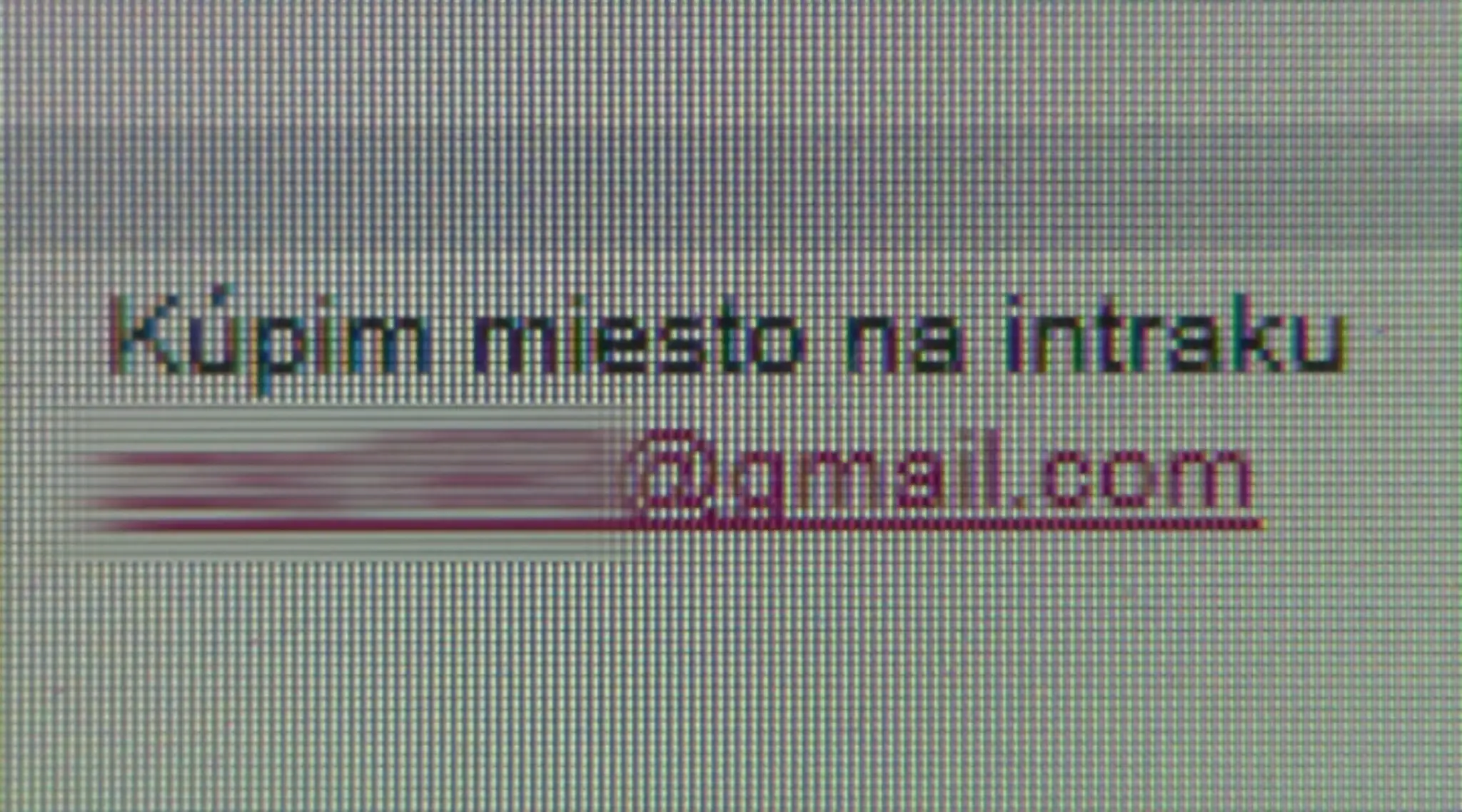 19_INTERNATYweb_jpg_bez_watermarku_1.jpg