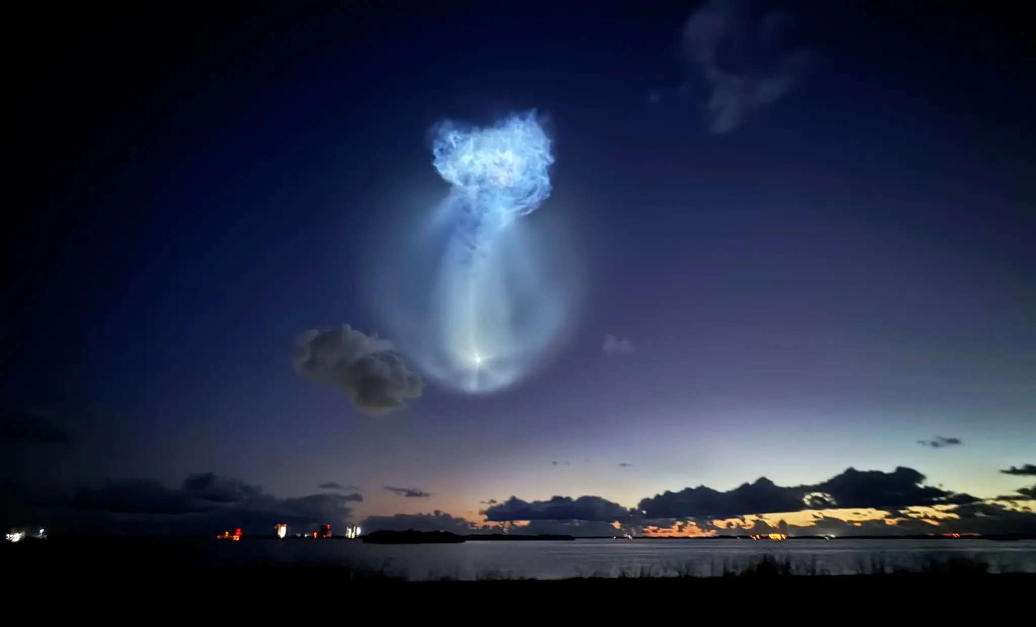 SpaceX jellyfish (5)