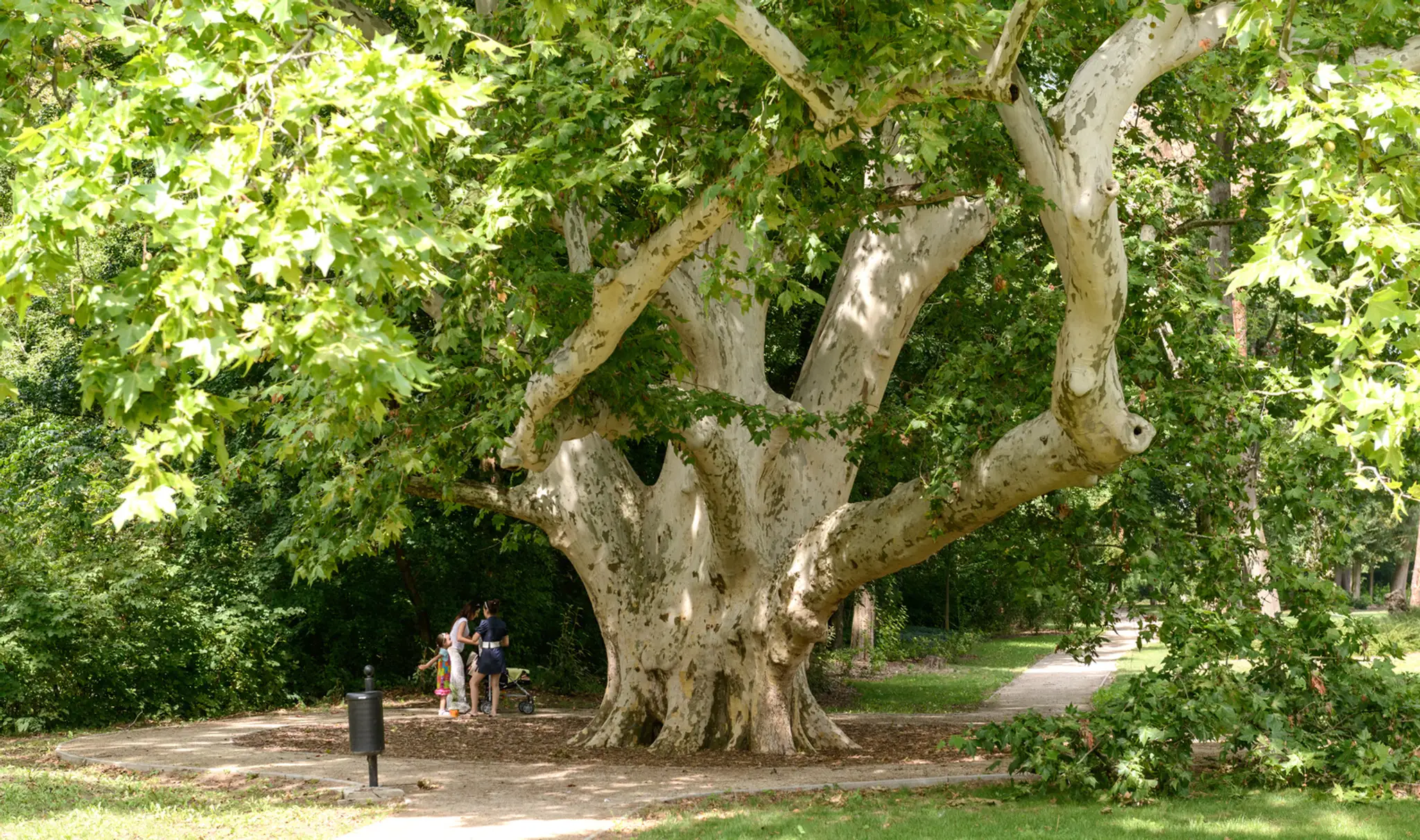 komjatice080814nr12174178.jpg