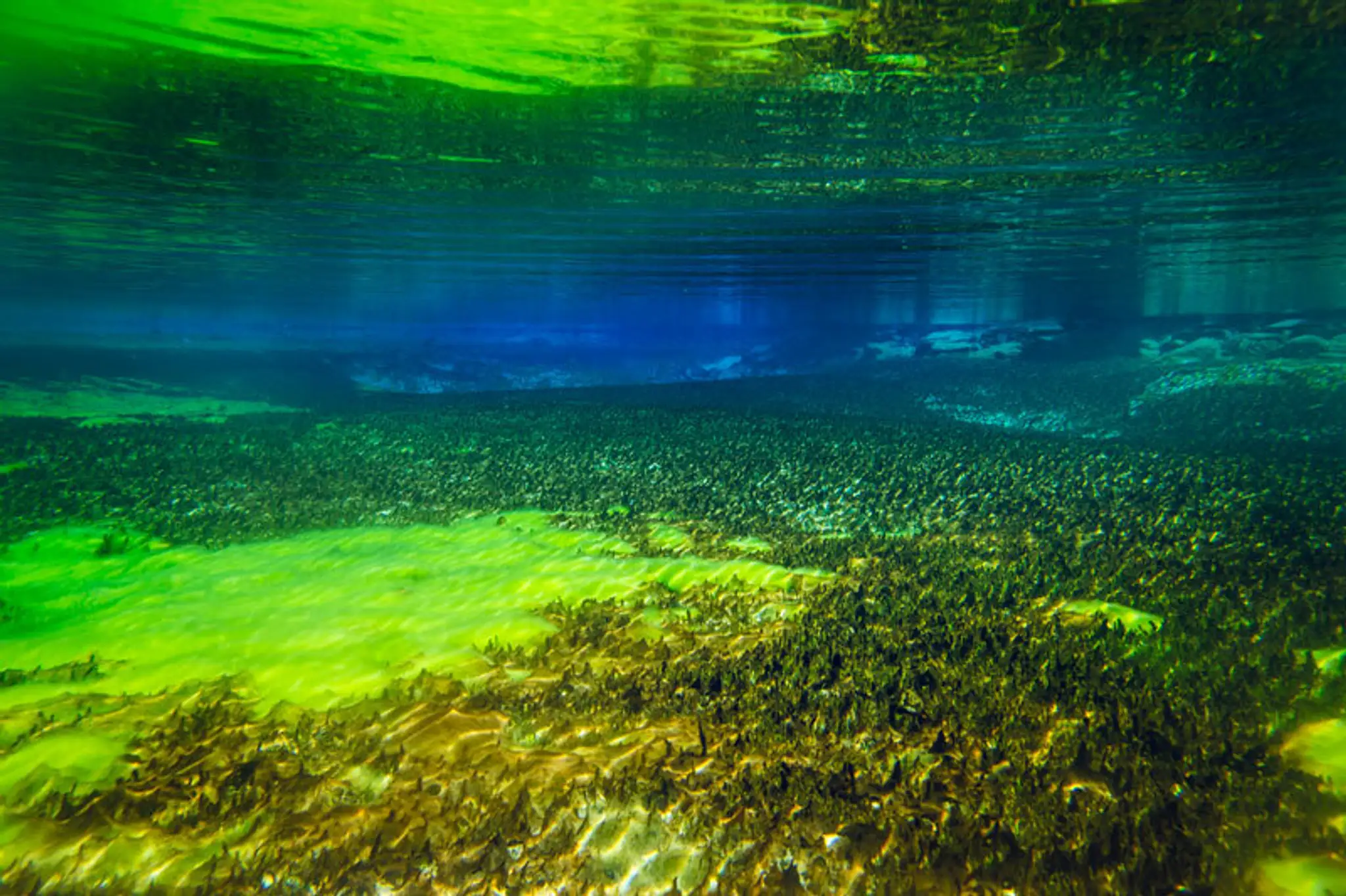 Najčistejšie jazero na svete Blue lake.
