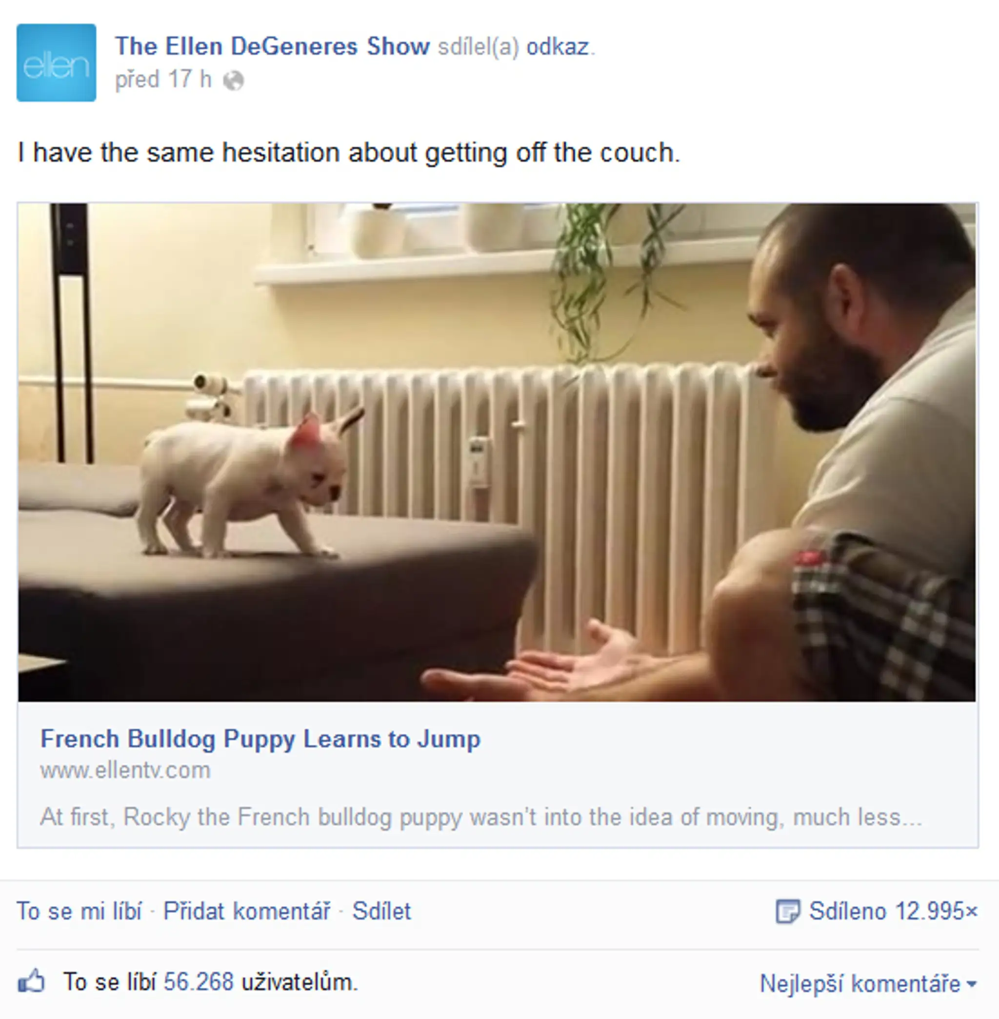ellen.jpg