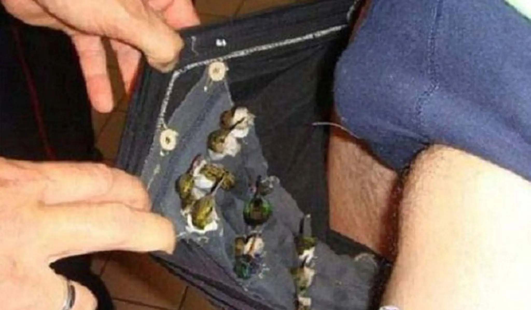 Muž pašoval vtáky v nohaviciach